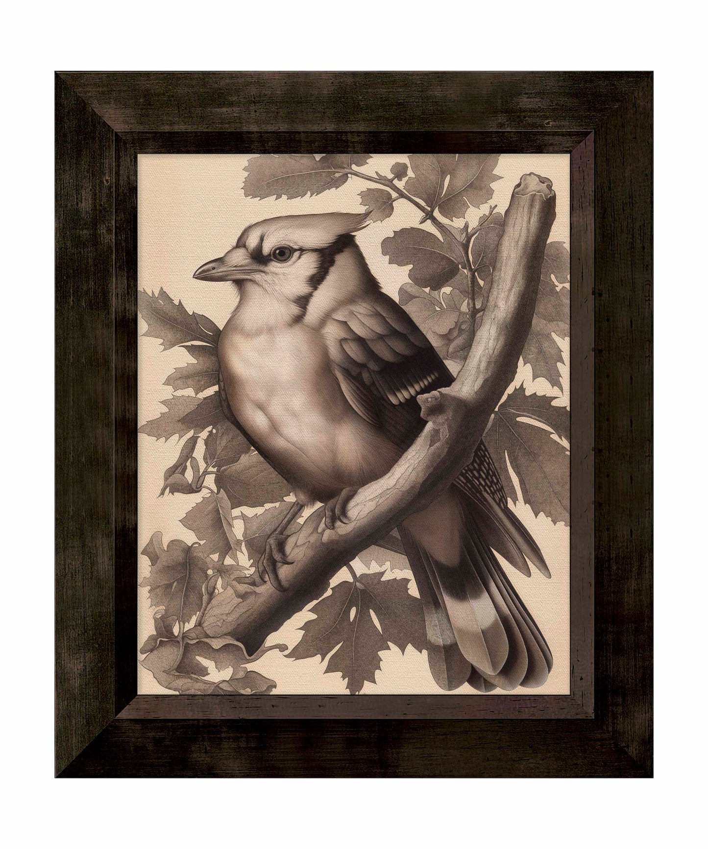 Timeless Grace - Blue Jay in Oak Canopy - Limited Edition Canvas