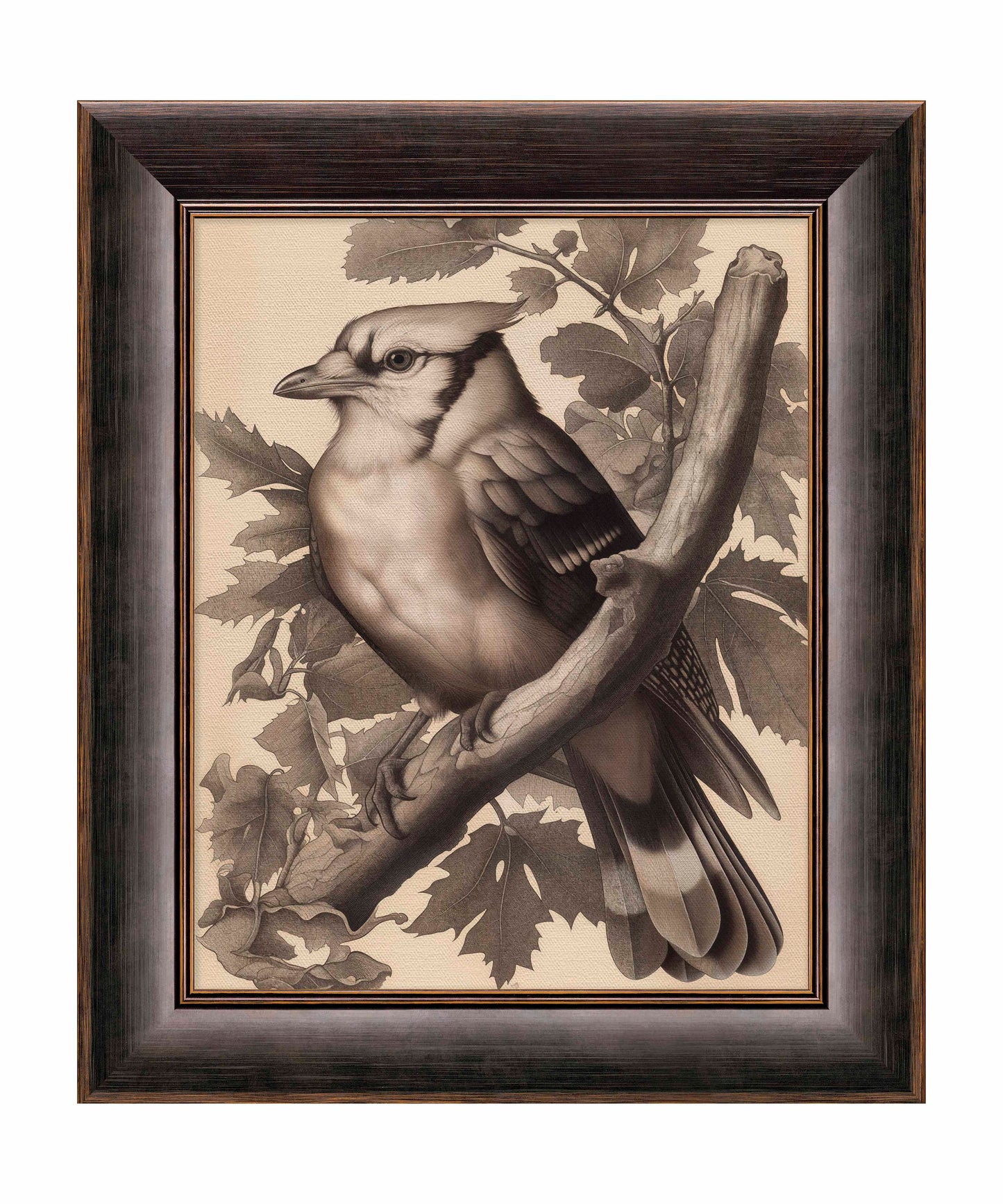 Timeless Grace - Blue Jay in Oak Canopy - Limited Edition Canvas