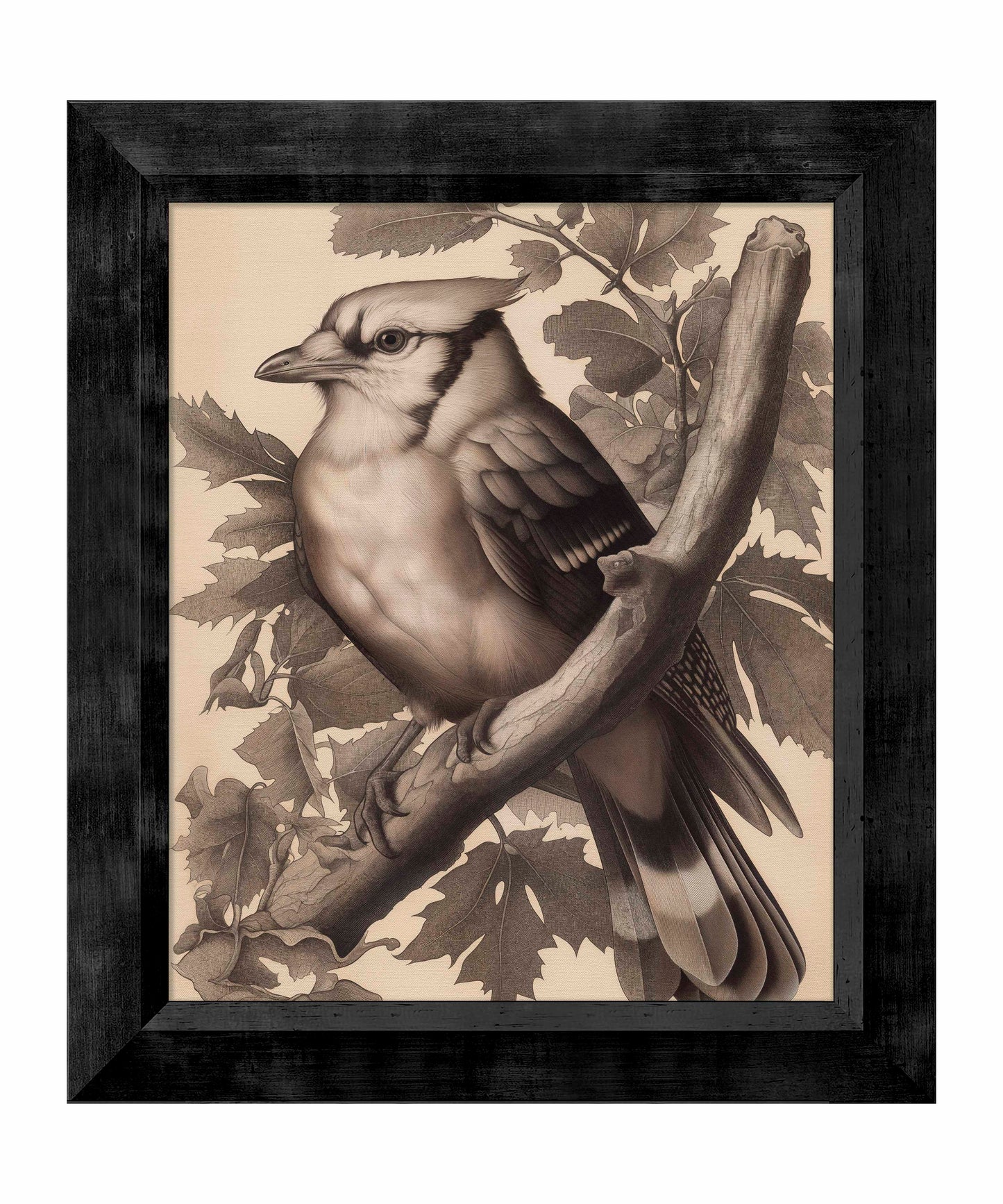 Timeless Grace - Blue Jay in Oak Canopy - Limited Edition Canvas