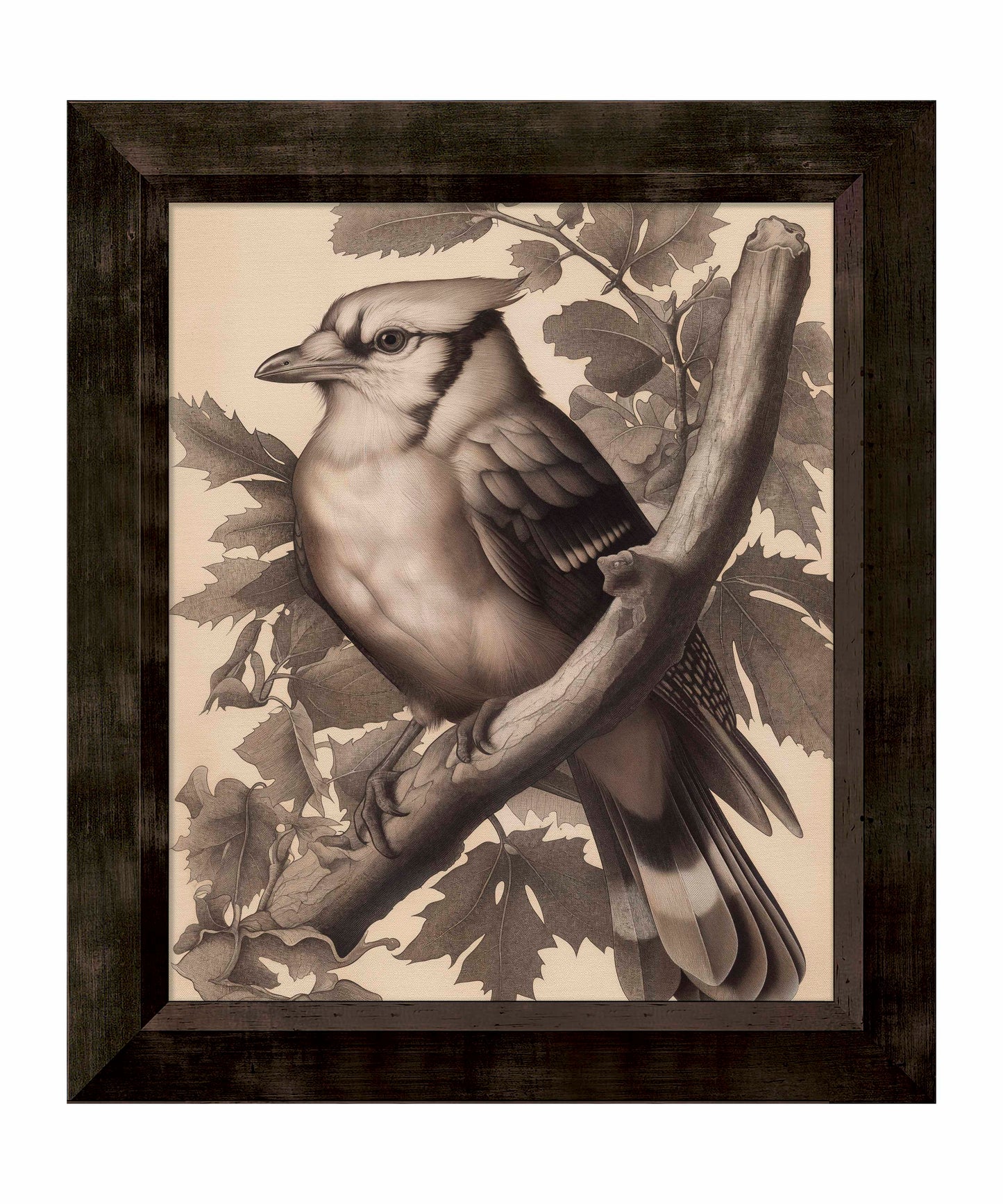 Timeless Grace - Blue Jay in Oak Canopy - Limited Edition Canvas