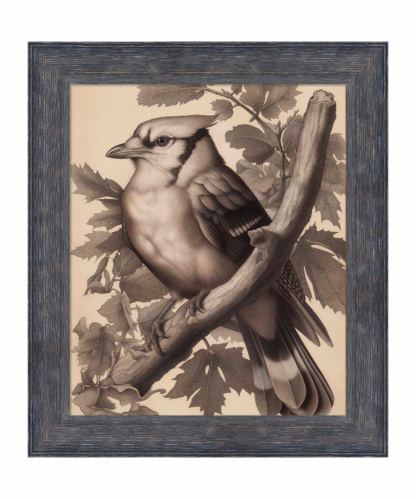 Timeless Grace - Blue Jay in Oak Canopy - Limited Edition Canvas