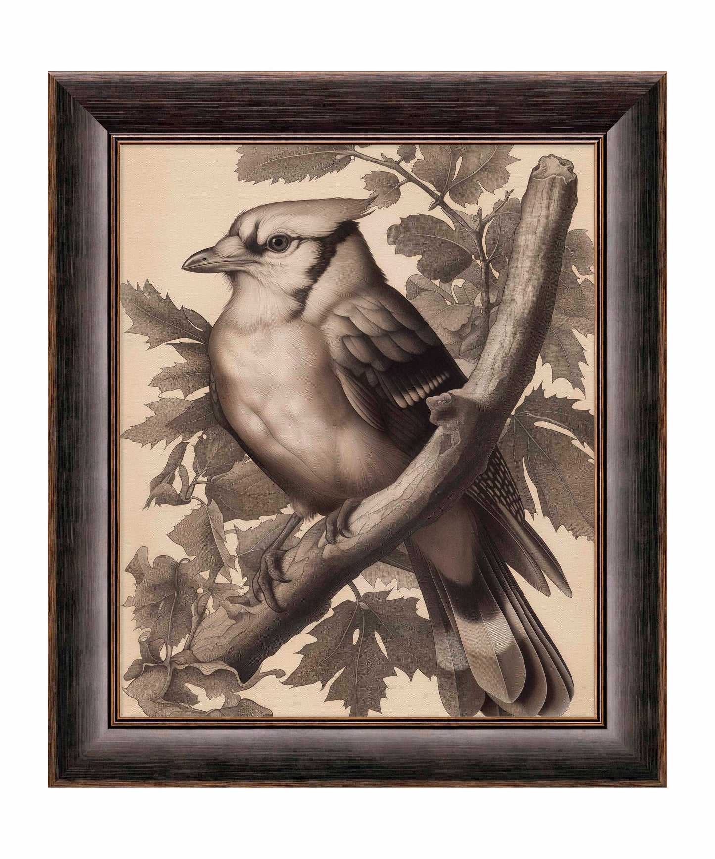 Timeless Grace - Blue Jay in Oak Canopy - Limited Edition Canvas