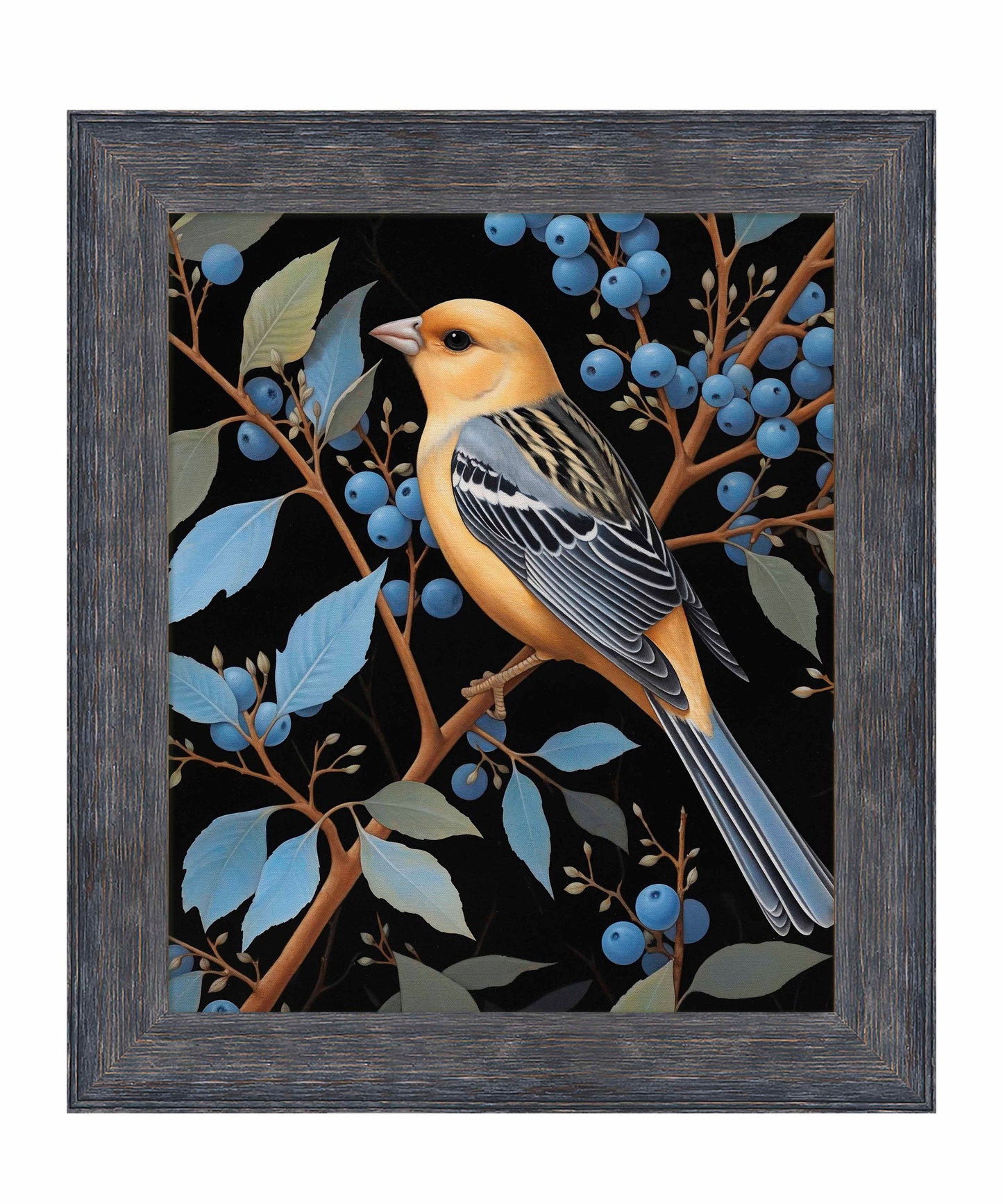 Bounty of Blue - Oriole Amidst Berries - Limited Edition Canvas