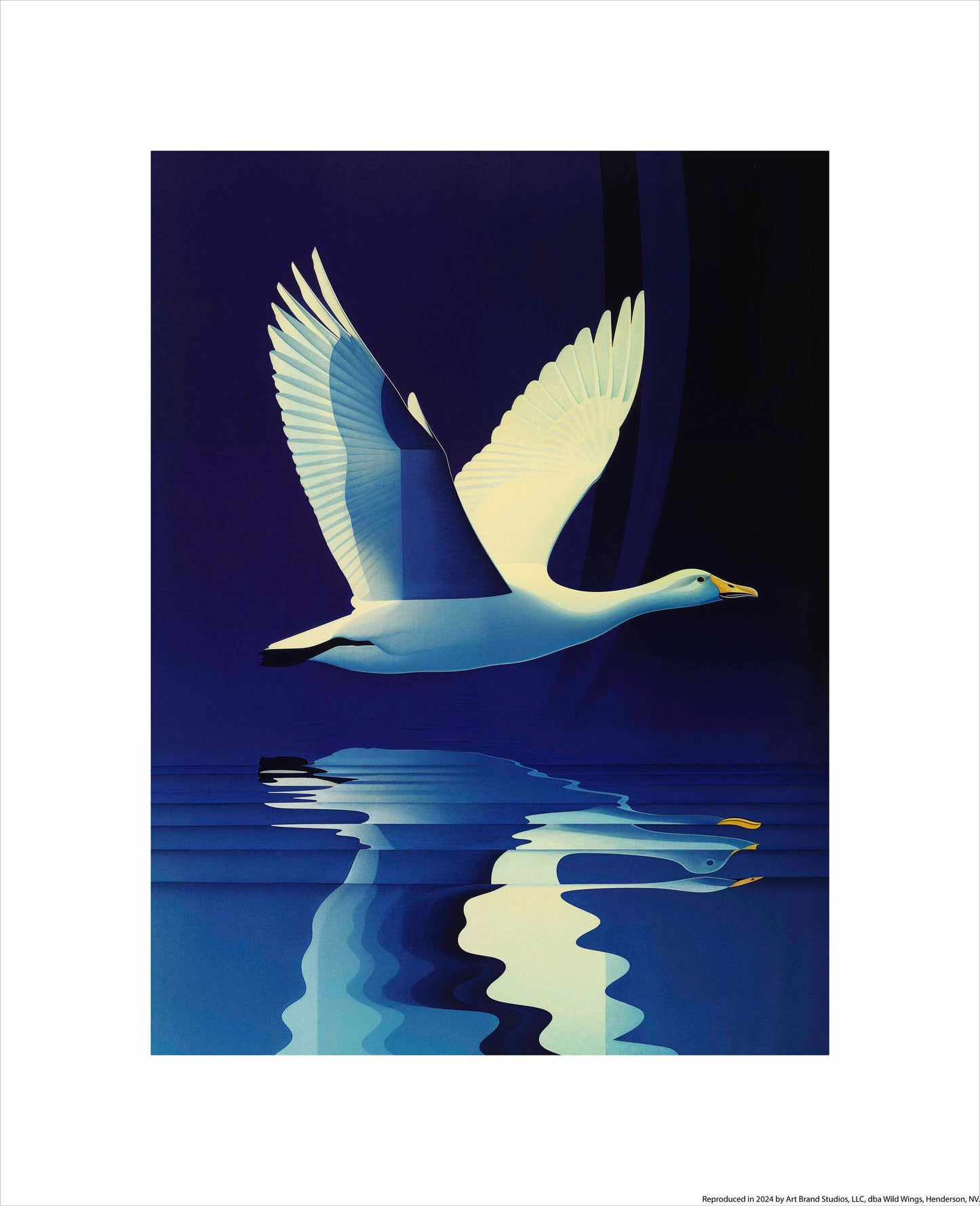Reflections in Flight - Swan Over Tranquil Waters - Art Prints