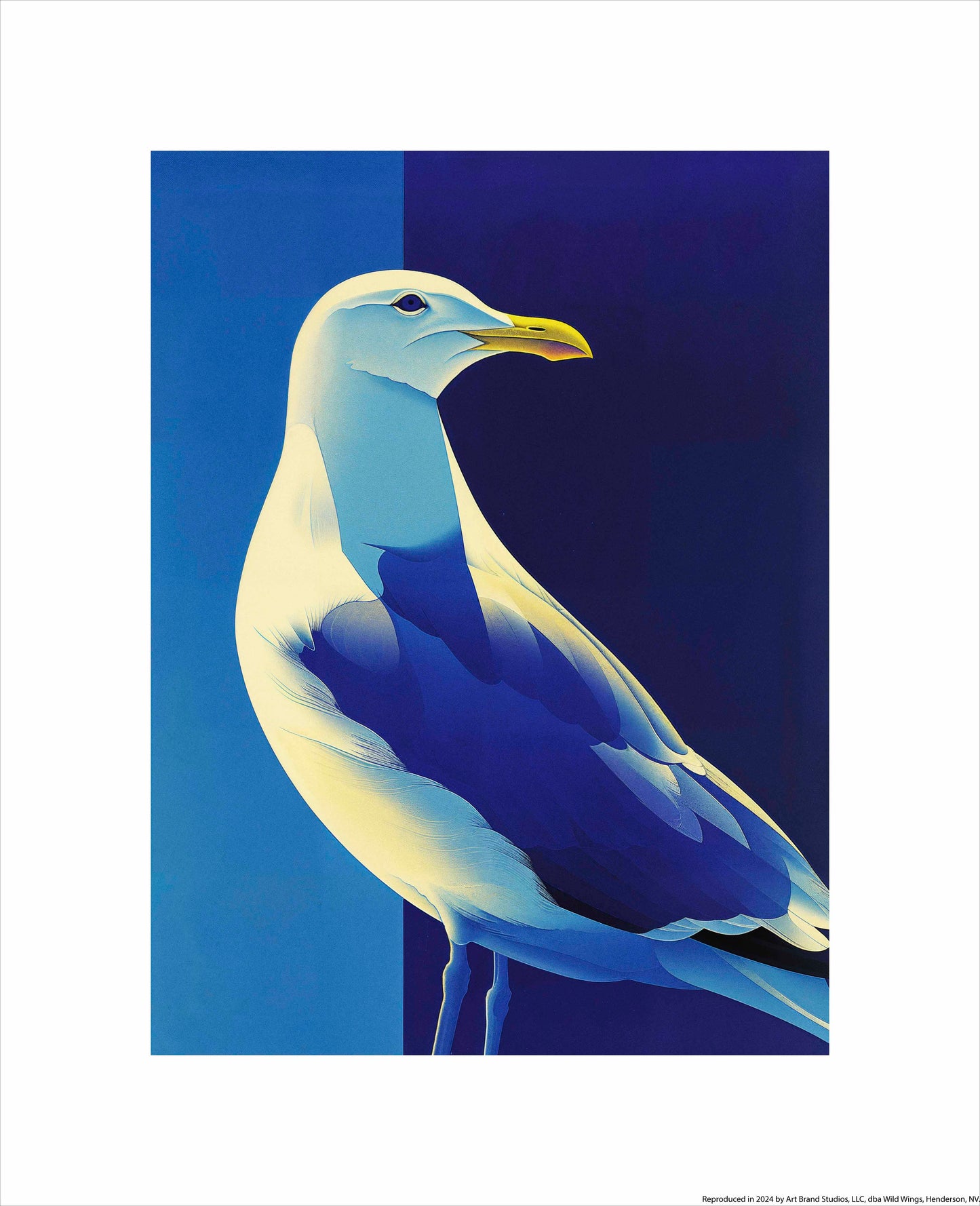 Luminous Sentinel - Seagull in Azure Light - Art Prints