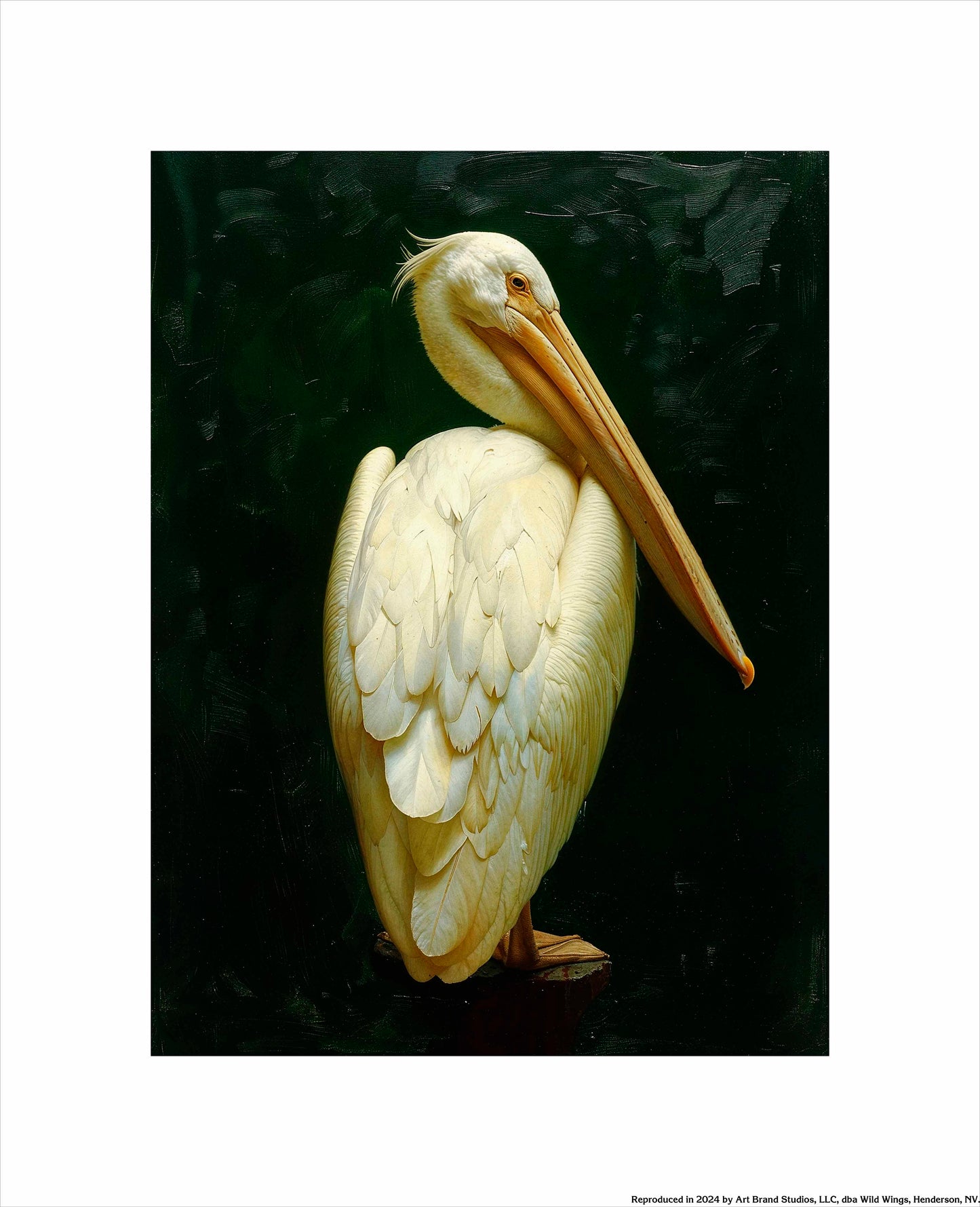 Regal Poise - Pelican in Ivory Elegance - Art Prints