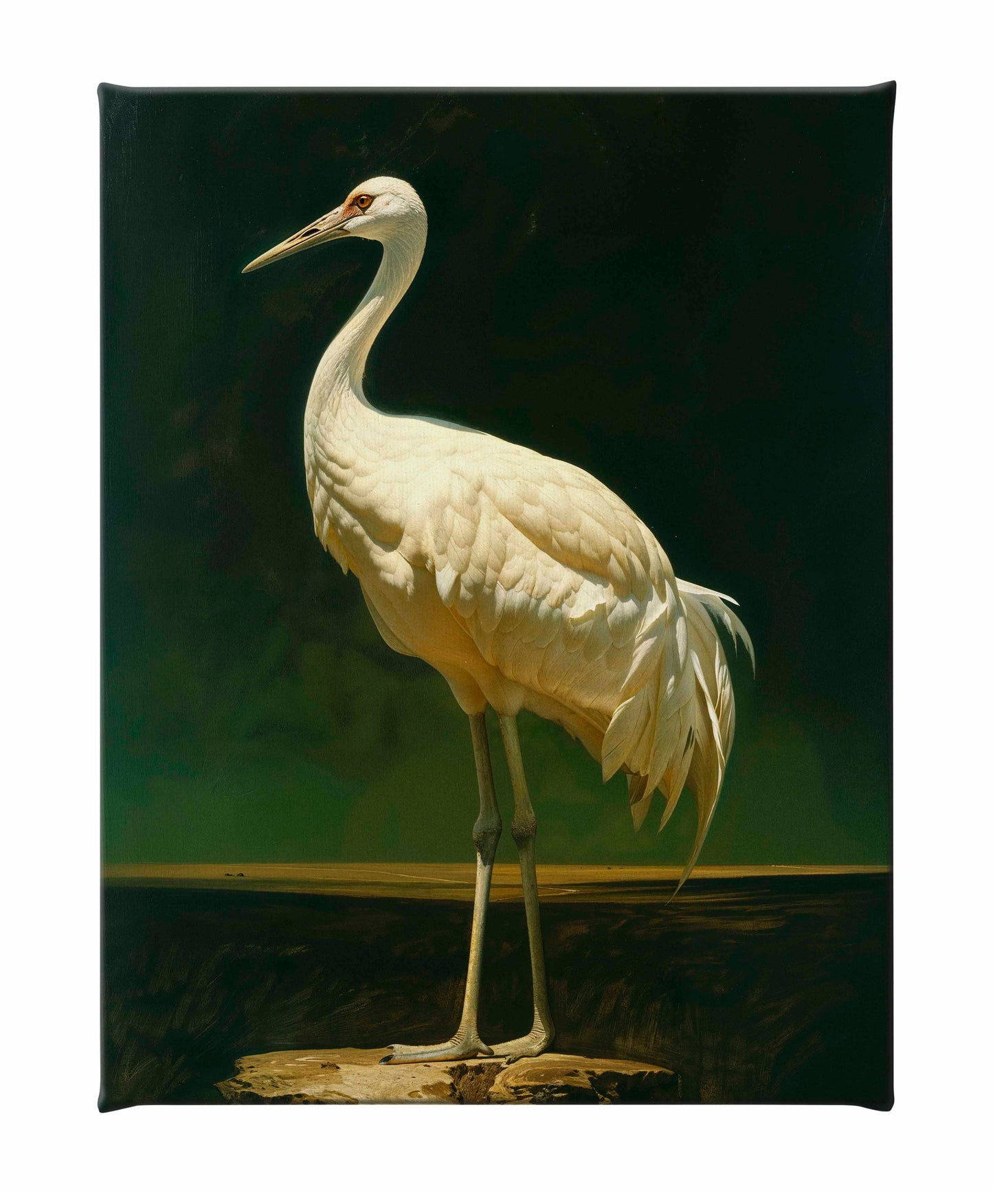 Noble Grace - Crane - Gallery Wrapped Canvas