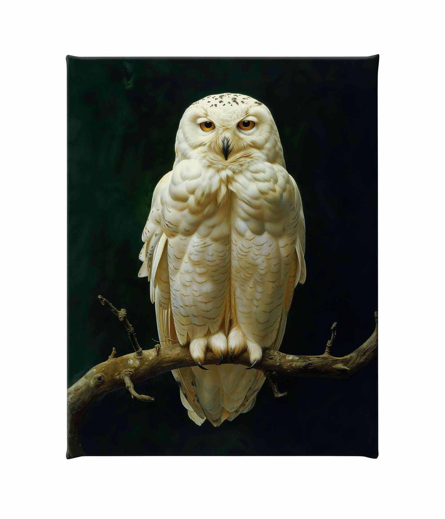 Noble Guardian - Snowy Owl - Gallery Wrapped Canvas