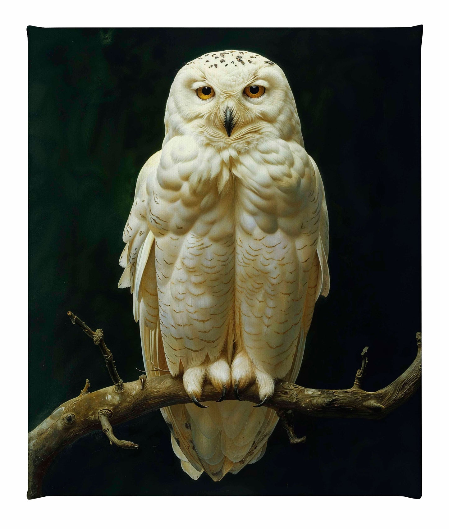 Noble Guardian - Snowy Owl - Gallery Wrapped Canvas