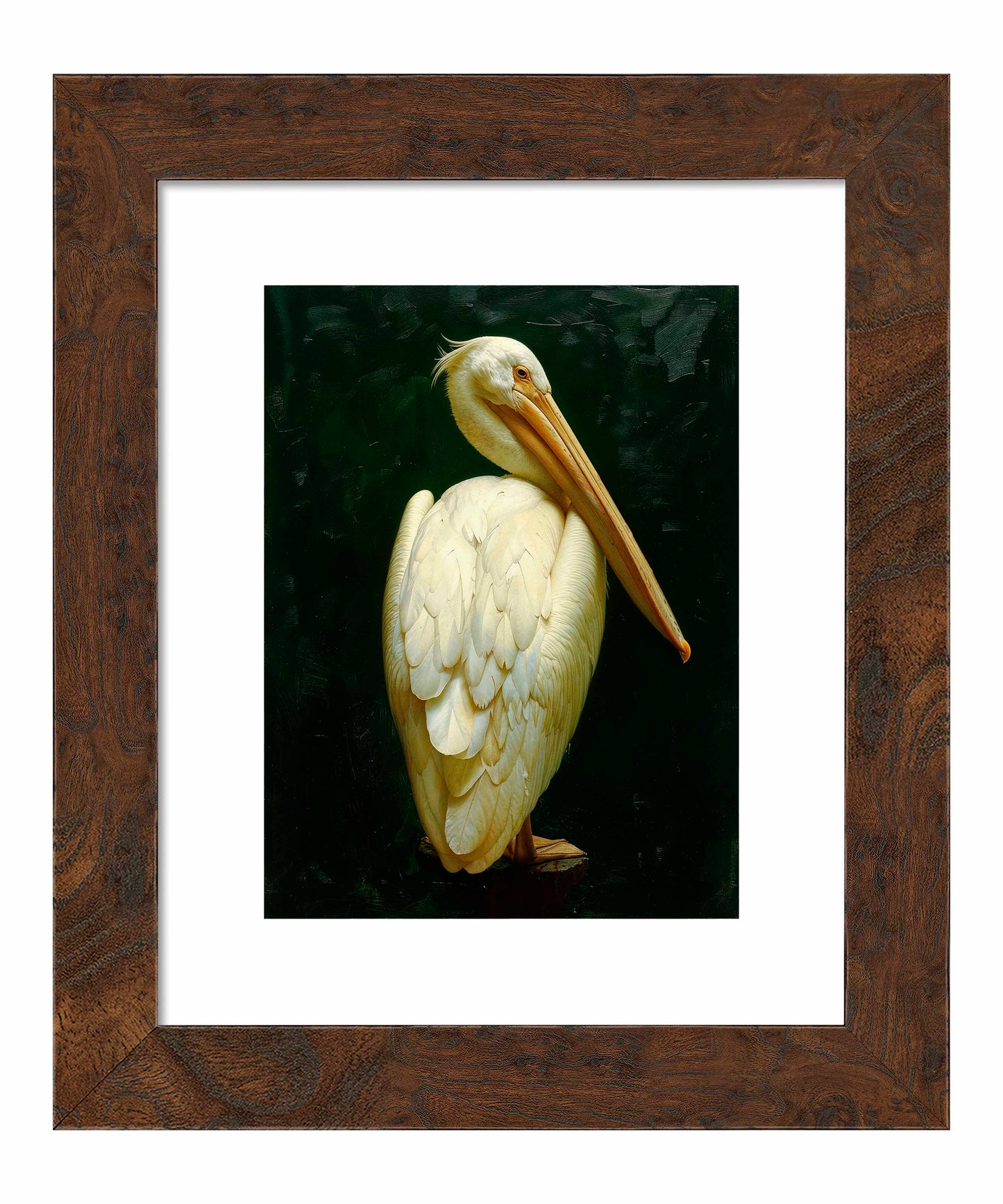 Regal Poise - Pelican in Ivory Elegance - Art Prints