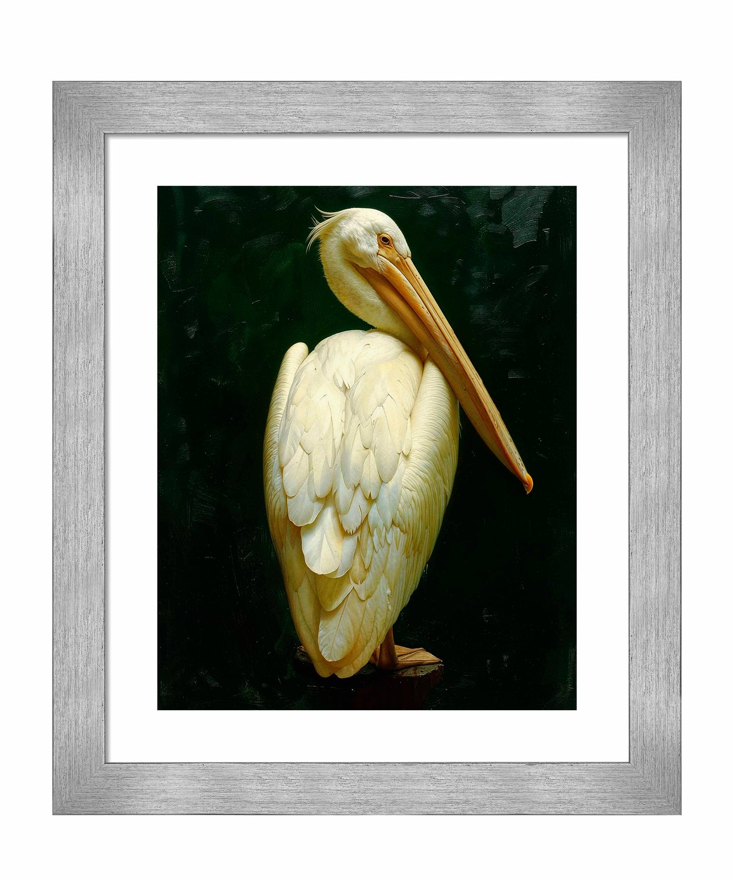 Regal Poise - Pelican in Ivory Elegance - Art Prints