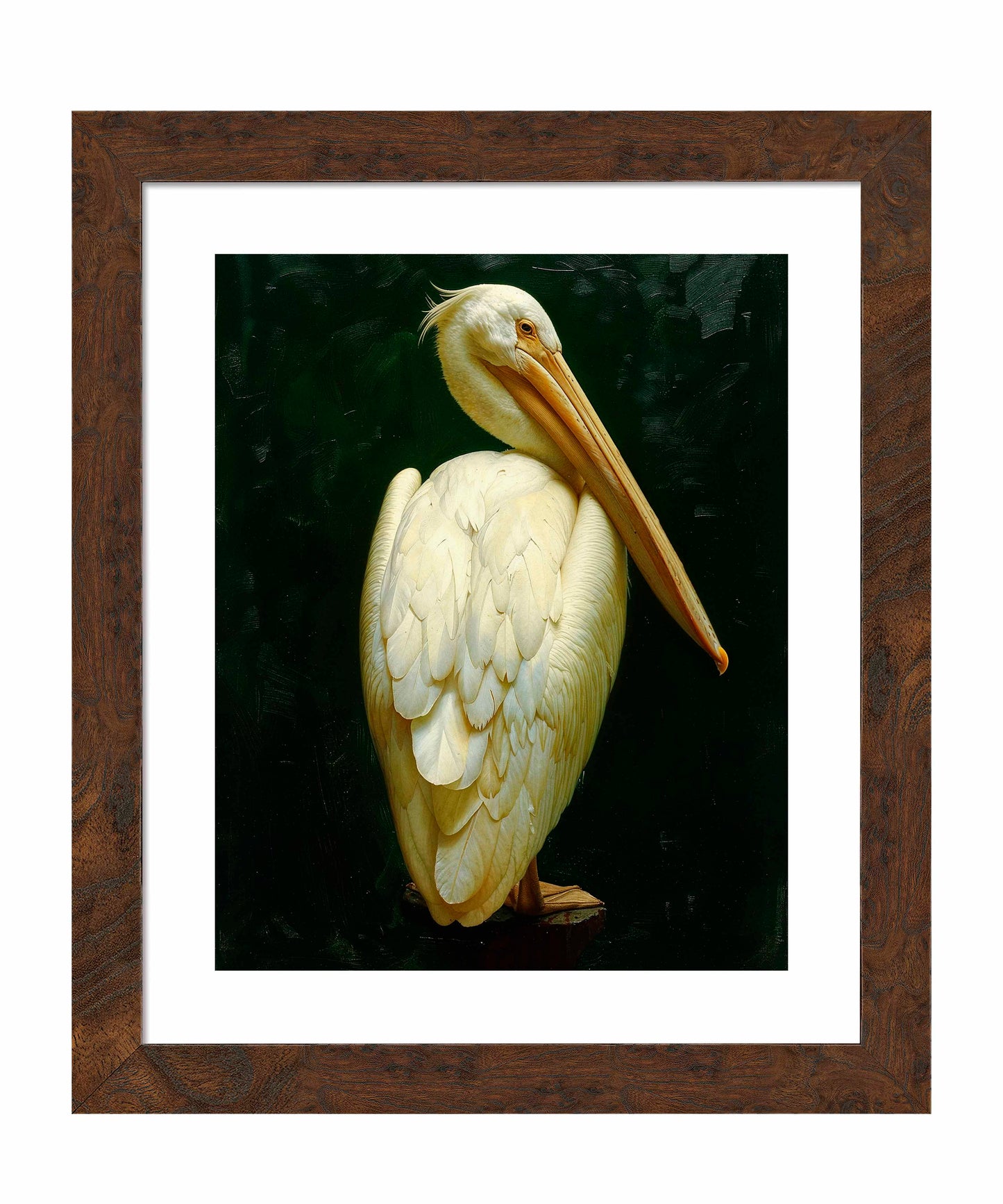 Regal Poise - Pelican in Ivory Elegance - Art Prints