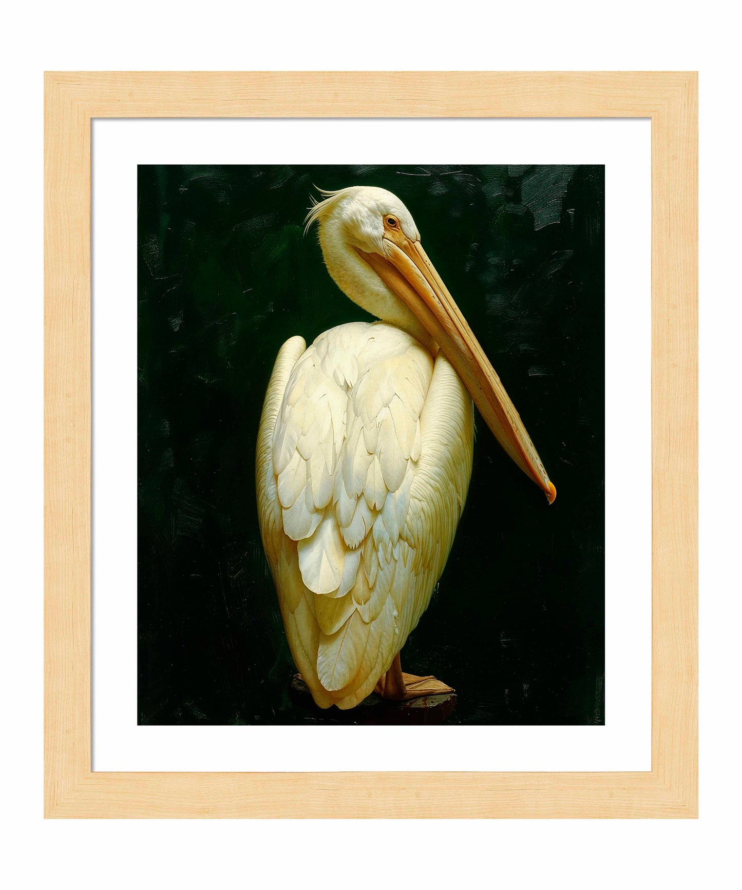 Regal Poise - Pelican in Ivory Elegance - Art Prints