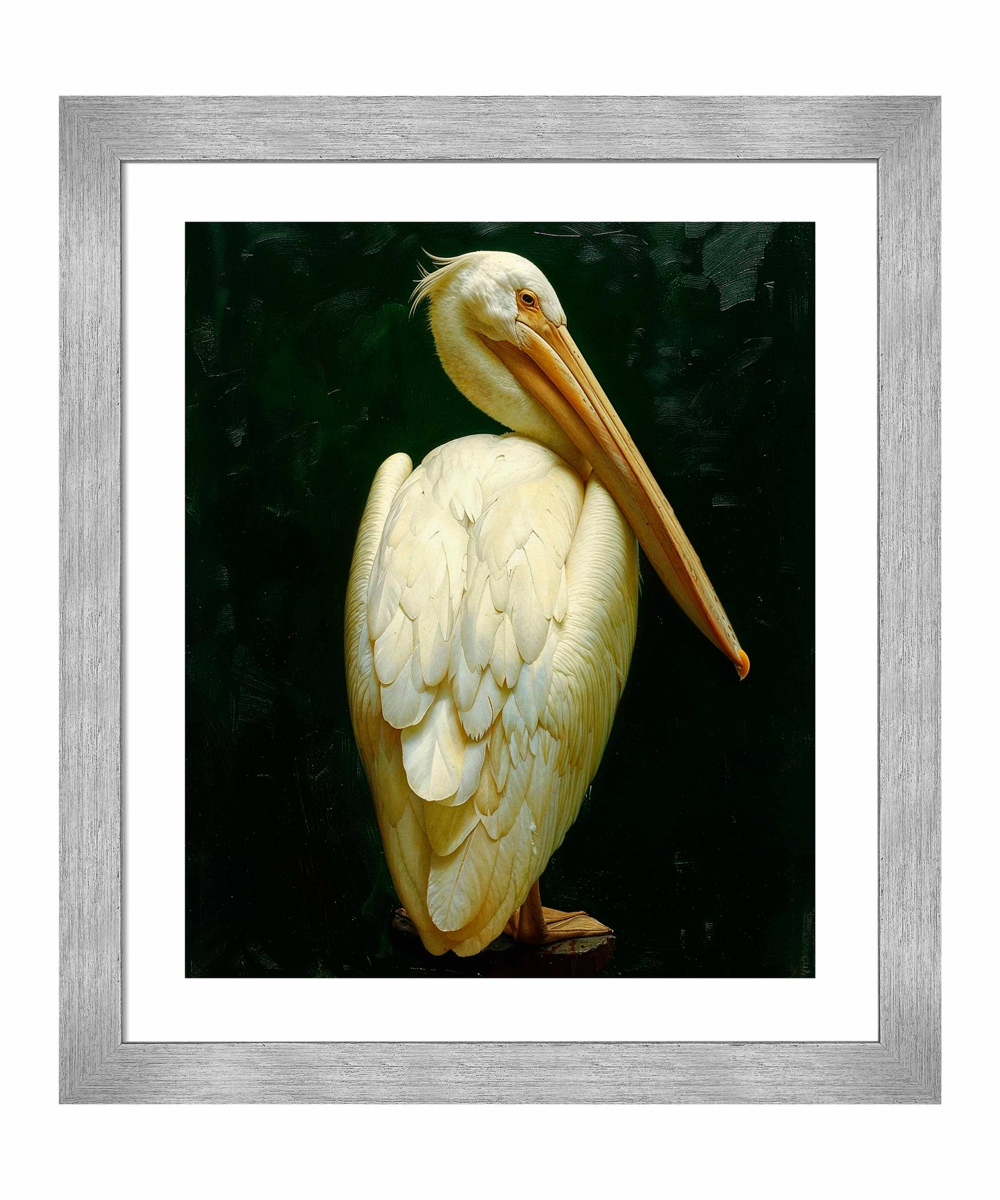 Regal Poise - Pelican in Ivory Elegance - Art Prints