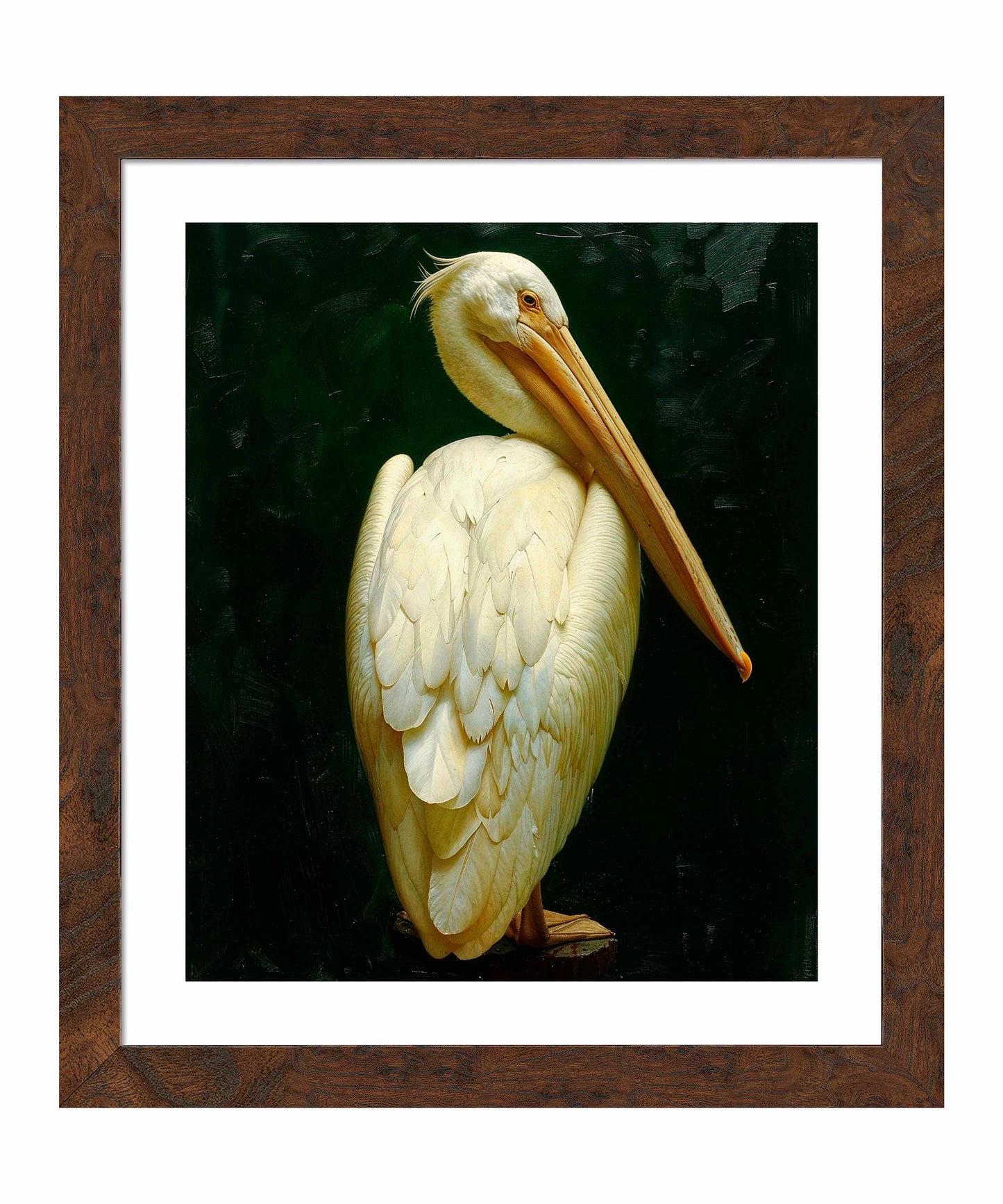 Regal Poise - Pelican in Ivory Elegance - Art Prints