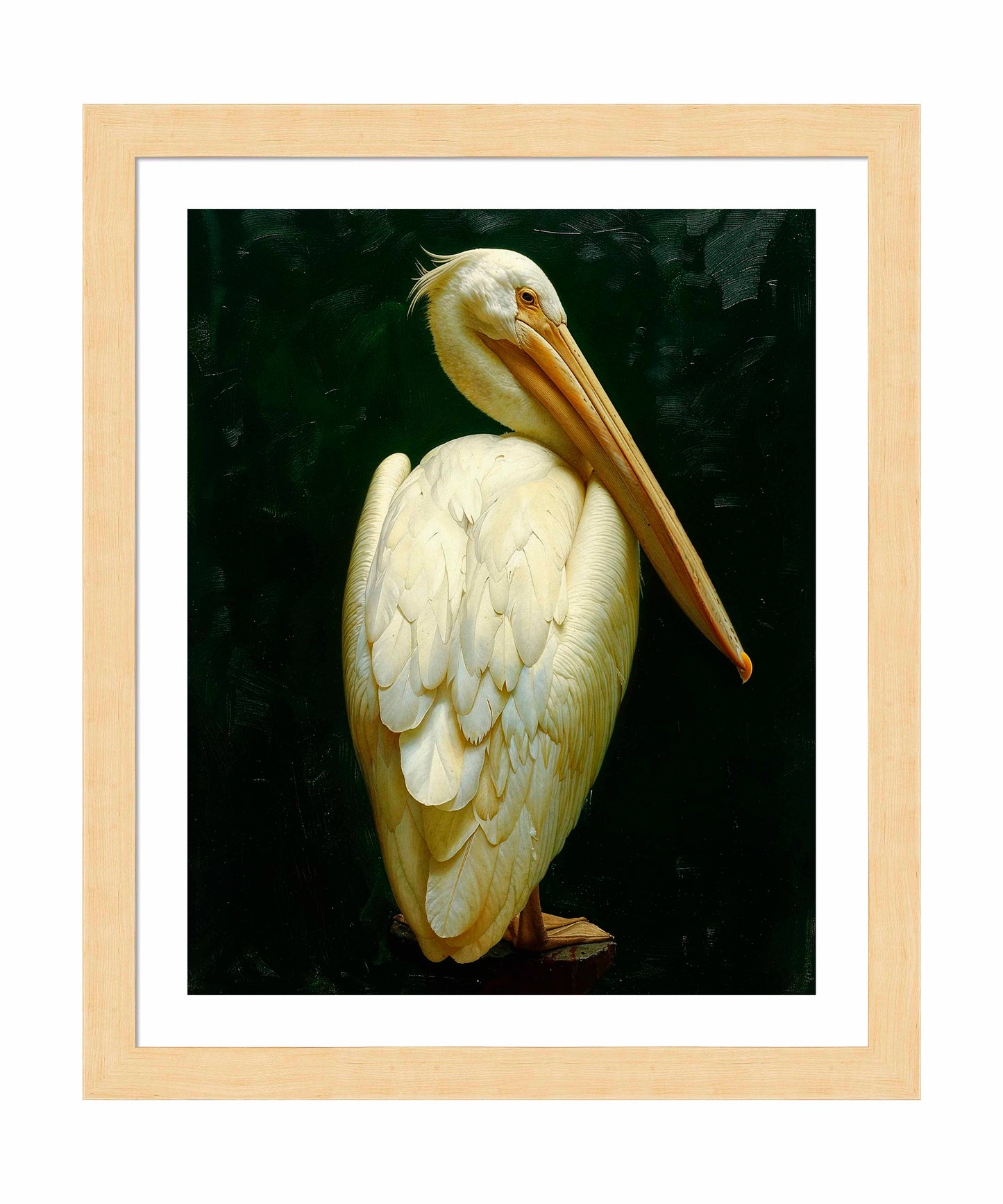 Regal Poise - Pelican in Ivory Elegance - Art Prints