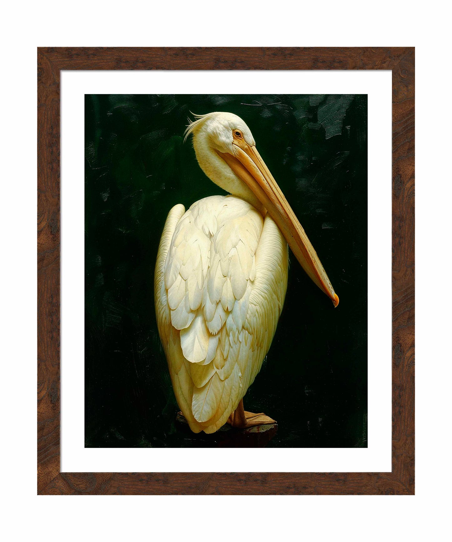 Regal Poise - Pelican in Ivory Elegance - Art Prints