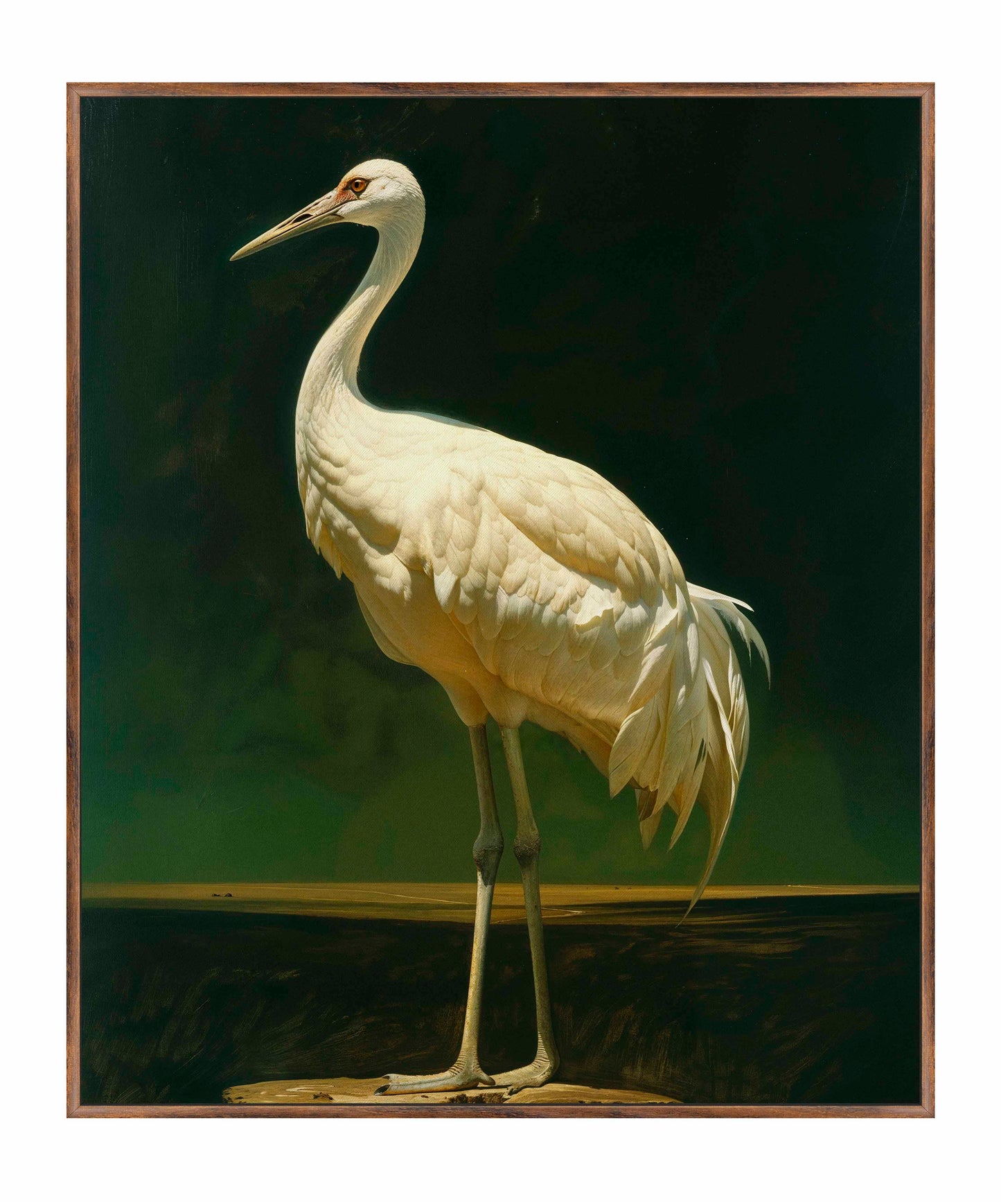 Noble Grace - Crane - Gallery Wrapped Canvas