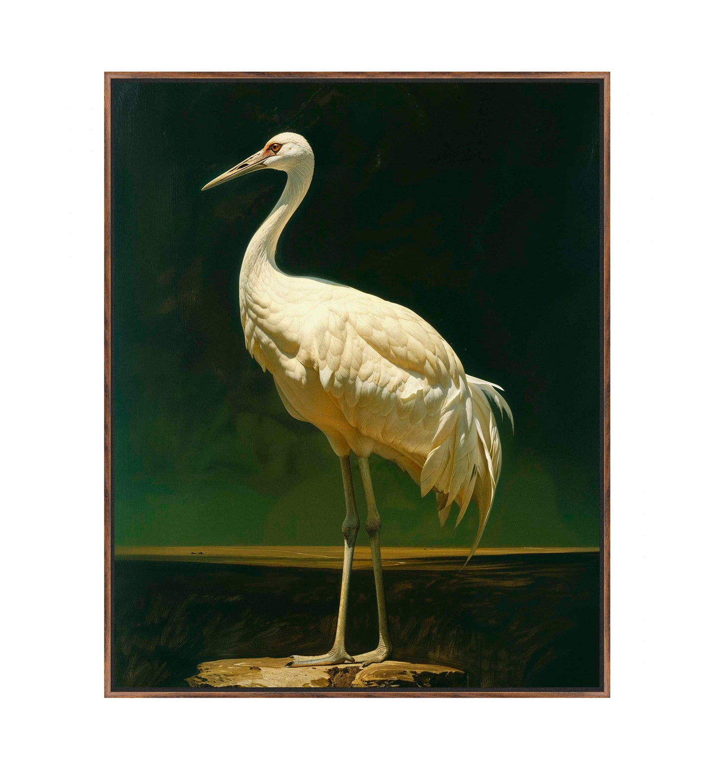 Noble Grace - Crane - Gallery Wrapped Canvas