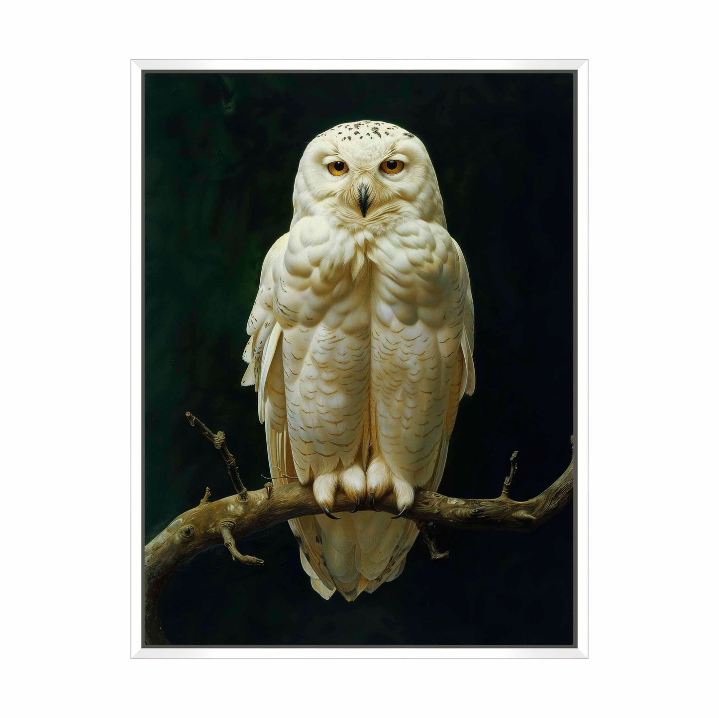 Noble Guardian - Snowy Owl - Gallery Wrapped Canvas
