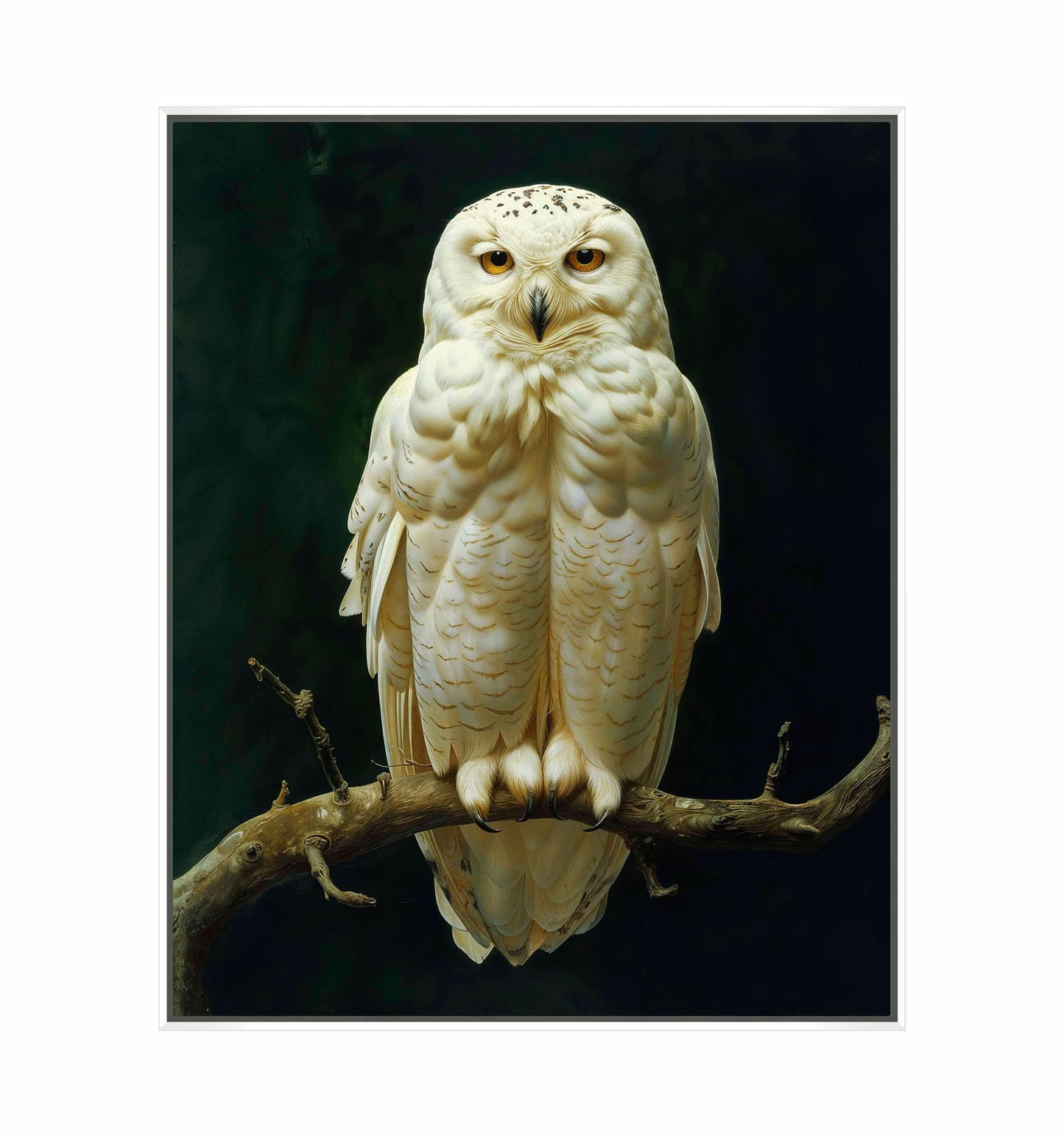 Noble Guardian - Snowy Owl - Gallery Wrapped Canvas