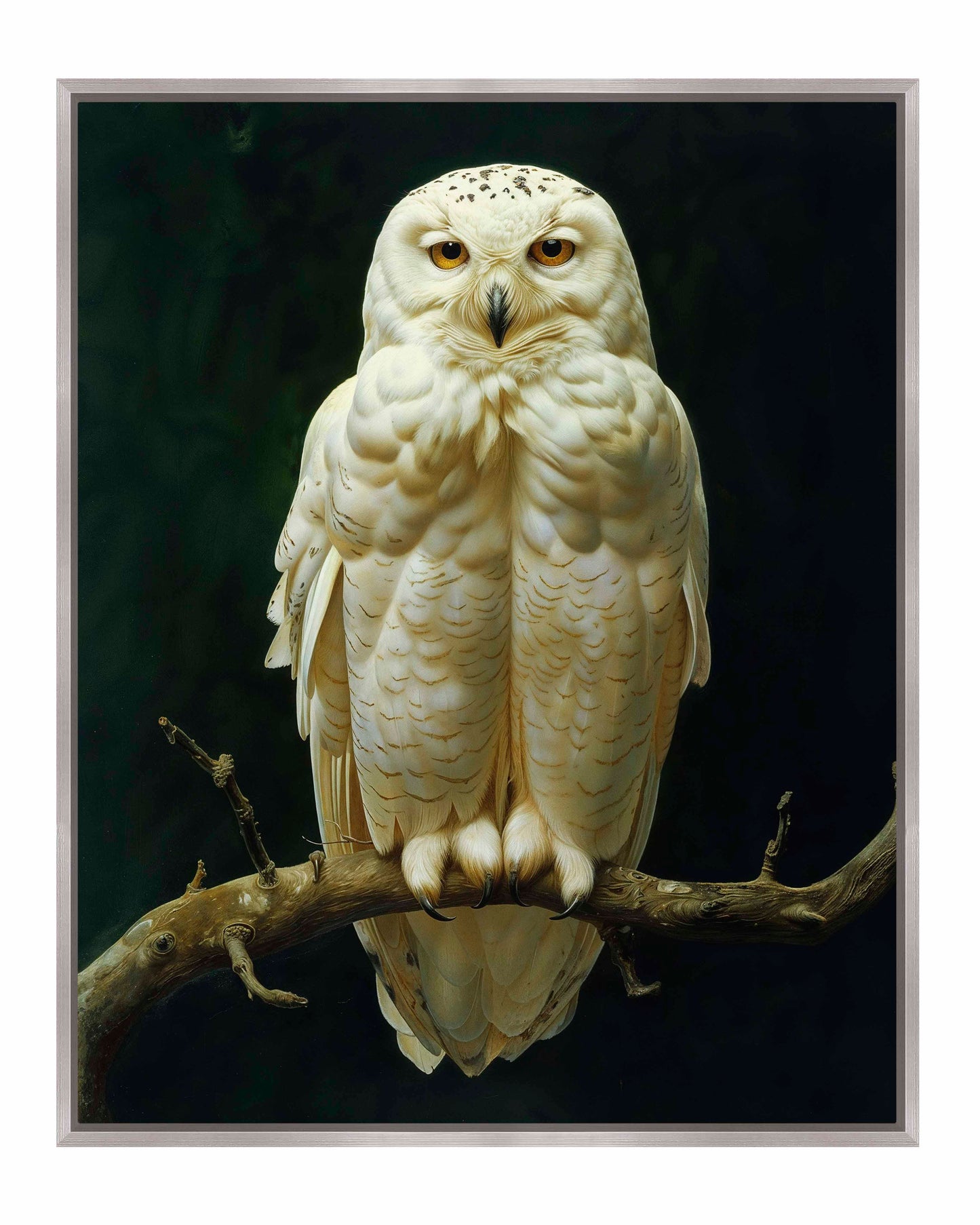 Noble Guardian - Snowy Owl - Gallery Wrapped Canvas