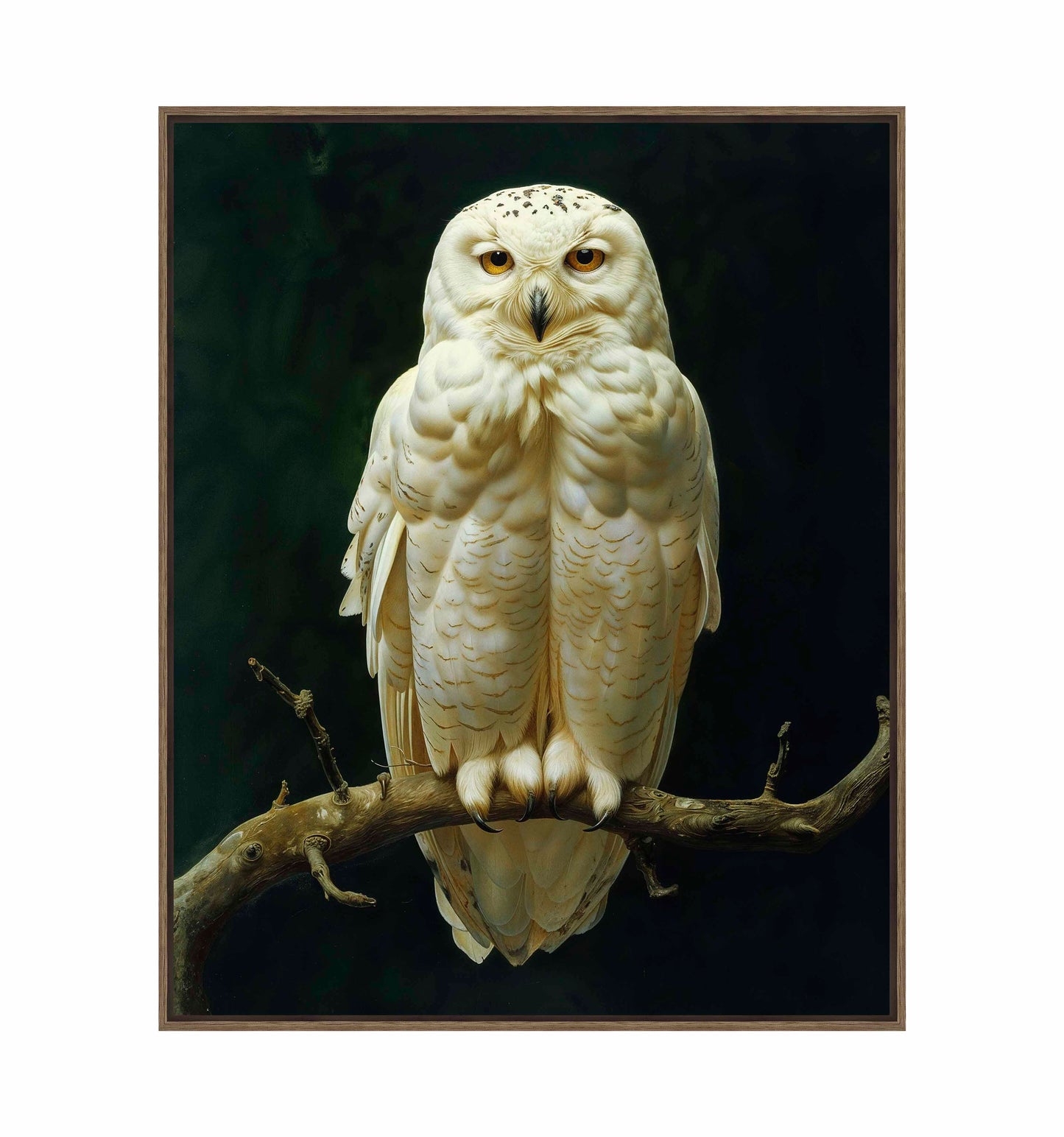 Noble Guardian - Snowy Owl - Gallery Wrapped Canvas
