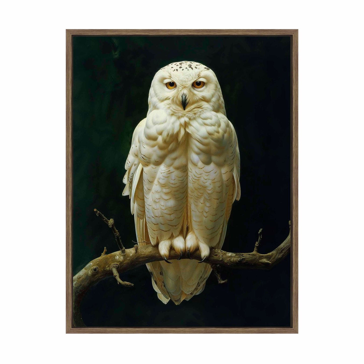 Noble Guardian - Snowy Owl - Gallery Wrapped Canvas