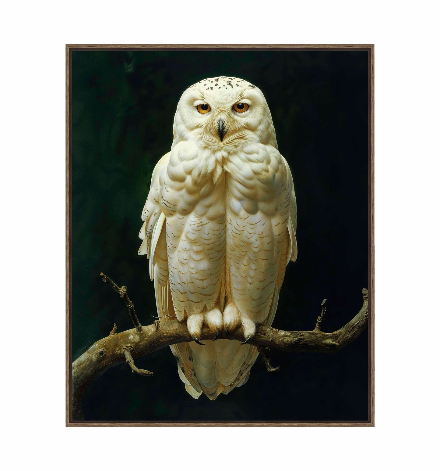 Noble Guardian - Snowy Owl - Gallery Wrapped Canvas