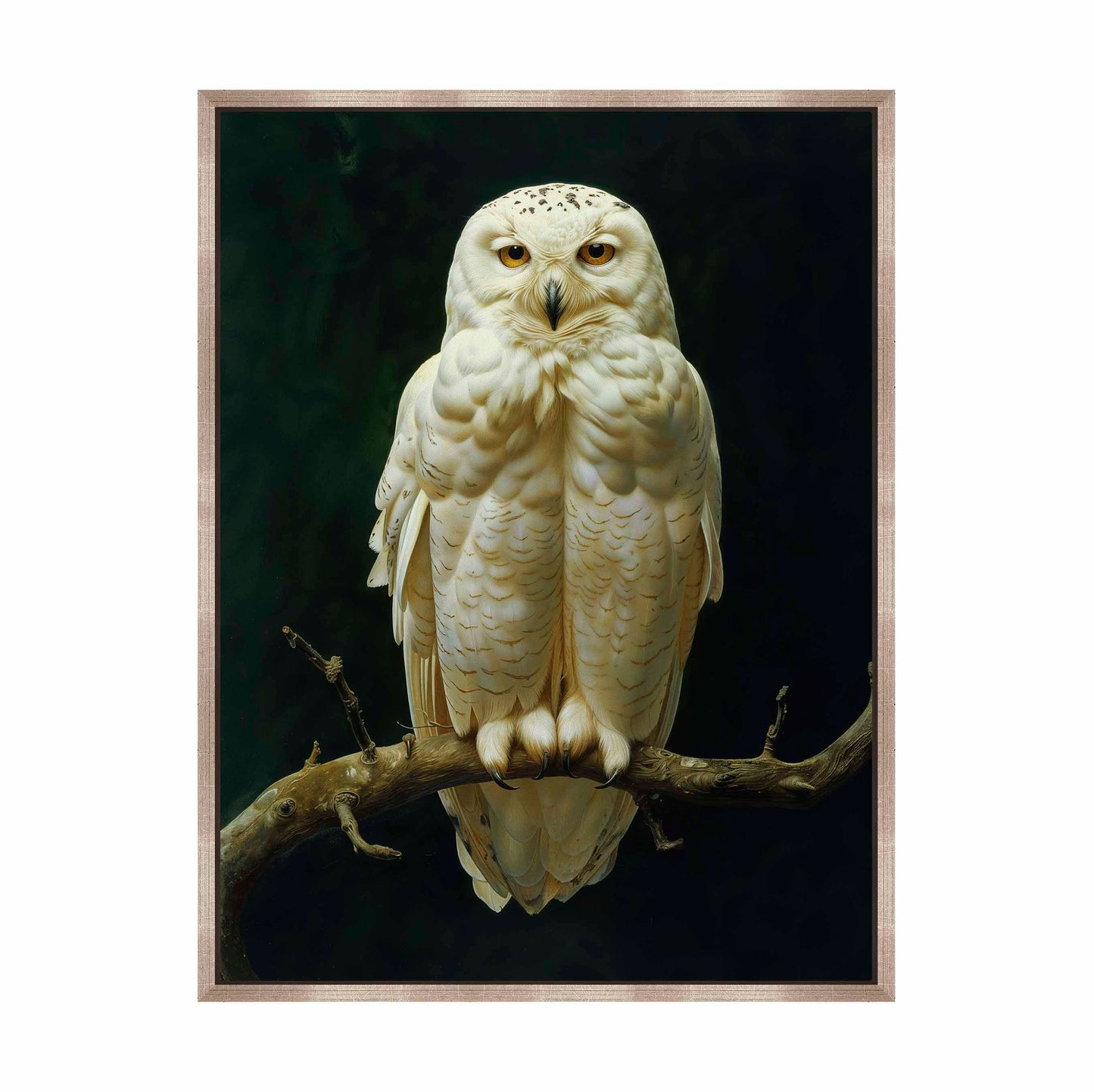 Noble Guardian - Snowy Owl - Gallery Wrapped Canvas