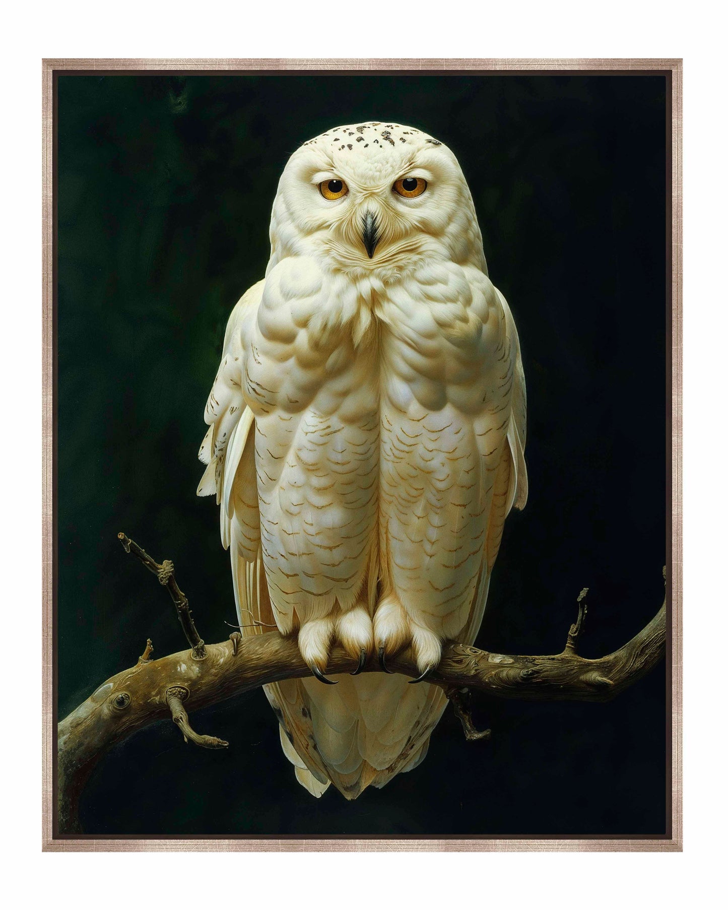 Noble Guardian - Snowy Owl - Gallery Wrapped Canvas