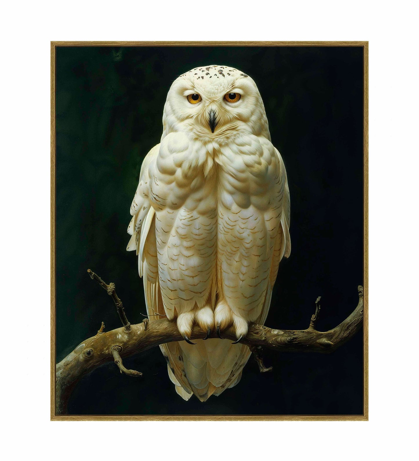 Noble Guardian - Snowy Owl - Gallery Wrapped Canvas