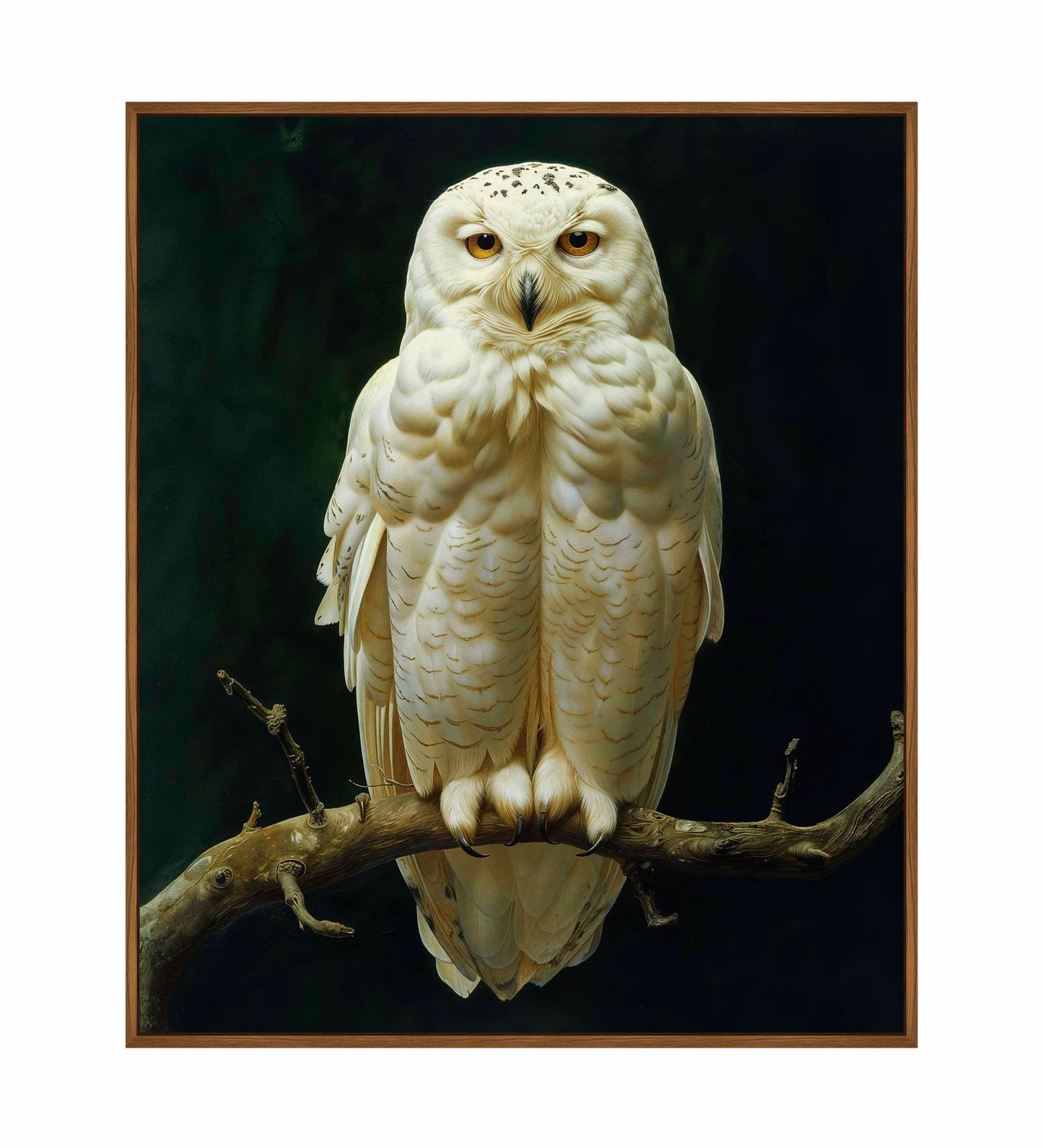 Noble Guardian - Snowy Owl - Gallery Wrapped Canvas