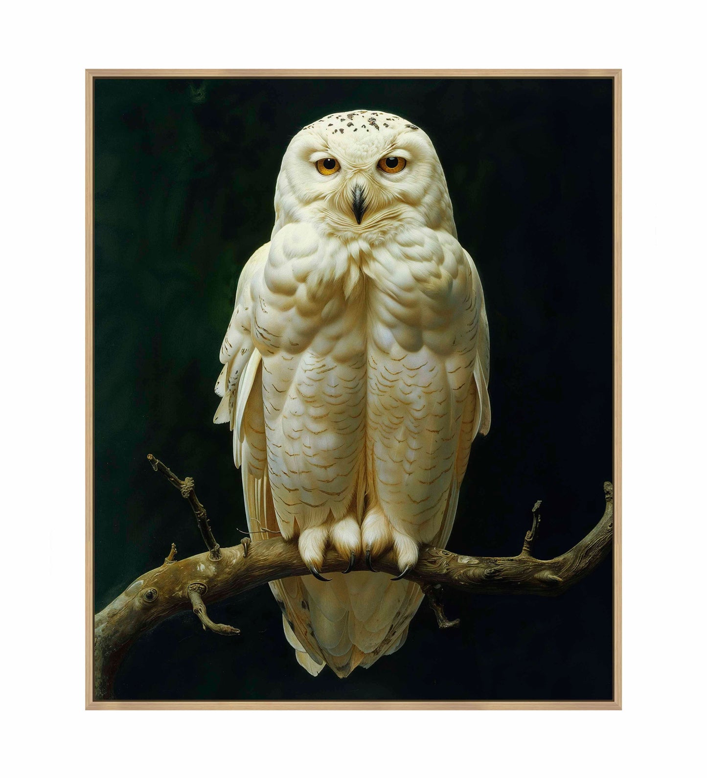 Noble Guardian - Snowy Owl - Gallery Wrapped Canvas
