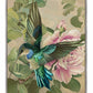 Emerald Flight - Hummingbird Among Hibiscus - Gallery Wrapped Canvas