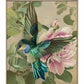 Emerald Flight - Hummingbird Among Hibiscus - Gallery Wrapped Canvas