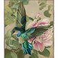 Emerald Flight - Hummingbird Among Hibiscus - Gallery Wrapped Canvas