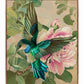 Emerald Flight - Hummingbird Among Hibiscus - Gallery Wrapped Canvas