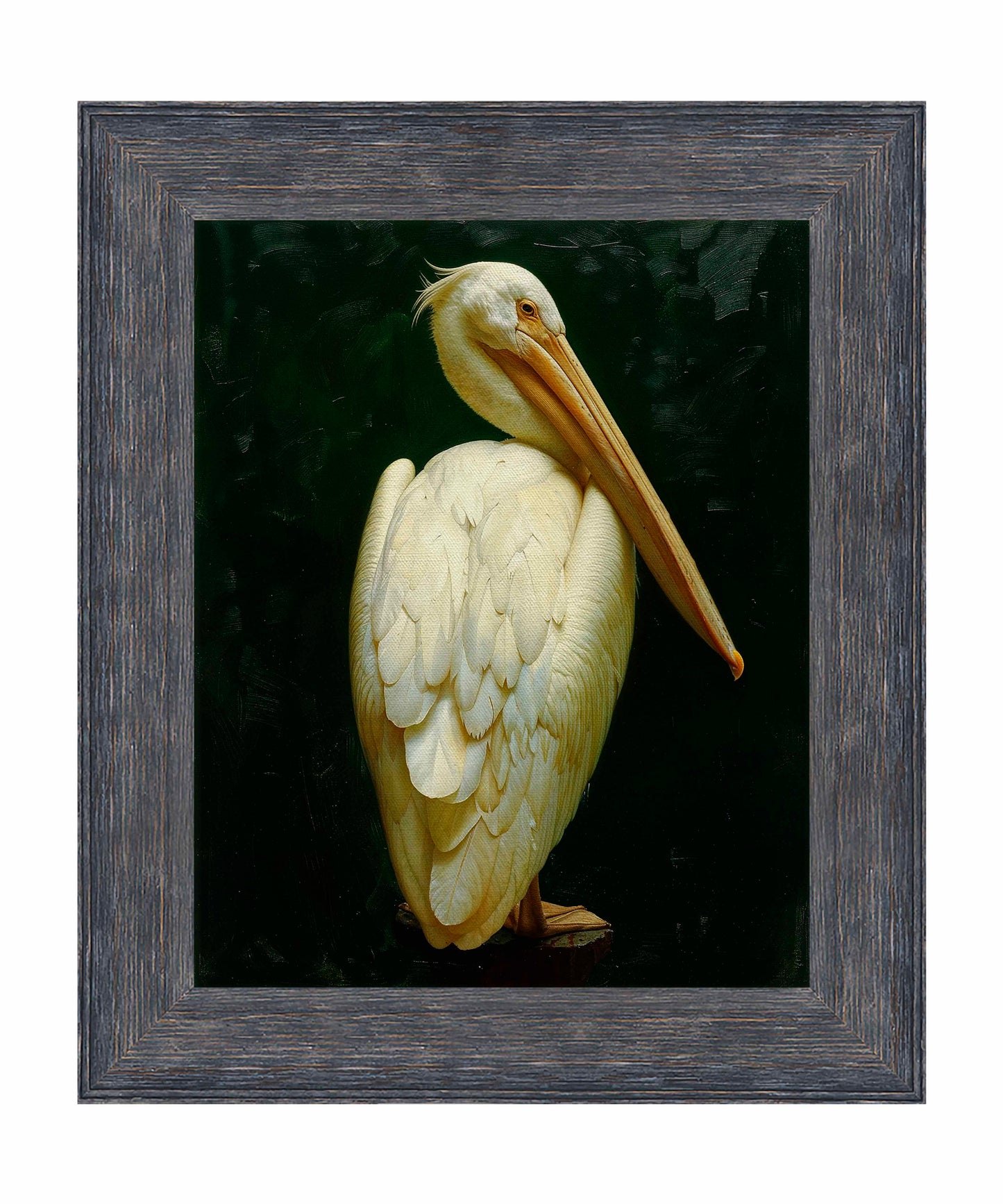 Regal Poise - Pelican in Ivory Elegance - Limited Edition Canvas