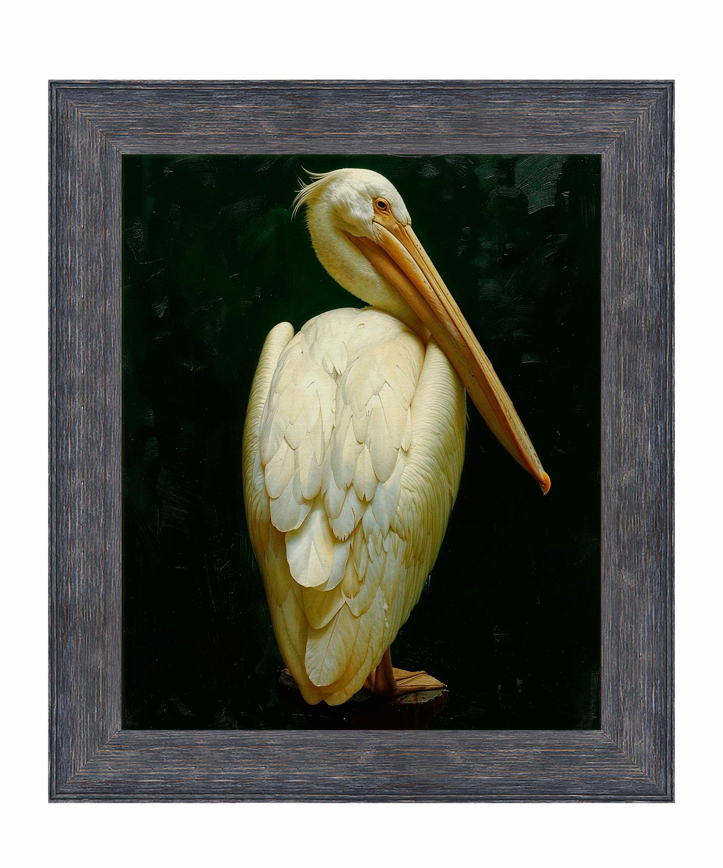 Regal Poise - Pelican in Ivory Elegance - Limited Edition Canvas