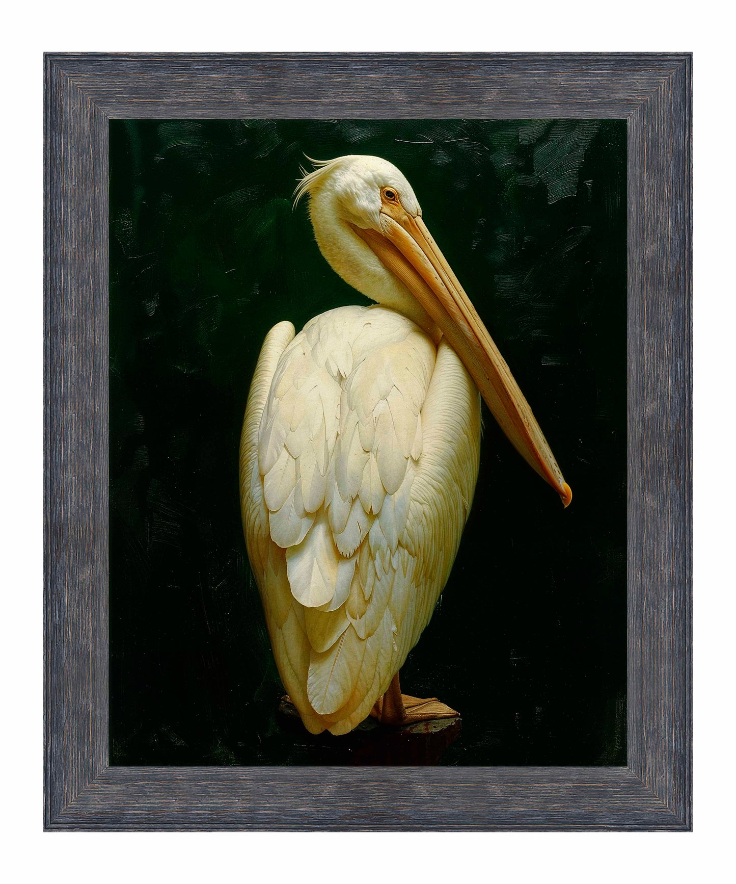 Regal Poise - Pelican in Ivory Elegance - Limited Edition Canvas