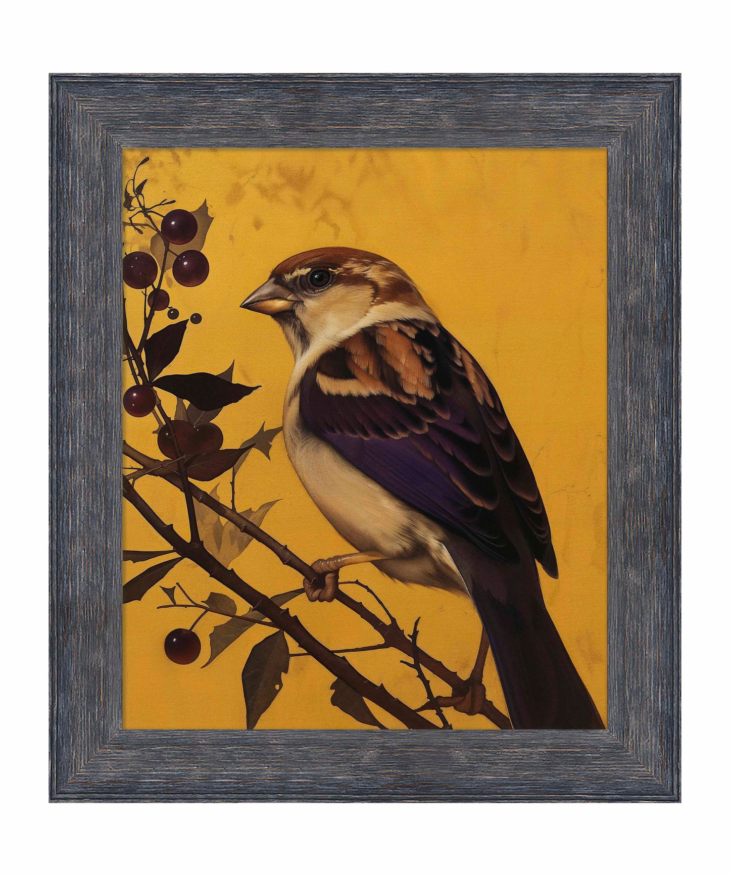 Golden Perch - Sparrow Among Dark Berries - Limited Edition Canvas