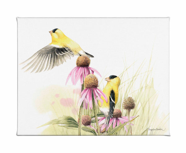 Coneflower Feast - Gallery Wrapped Canvas