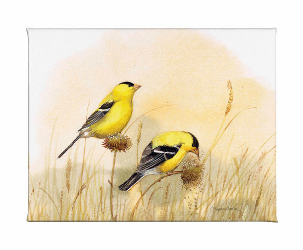 Feeding Off The Prairie - Gallery Wrapped Canvas
