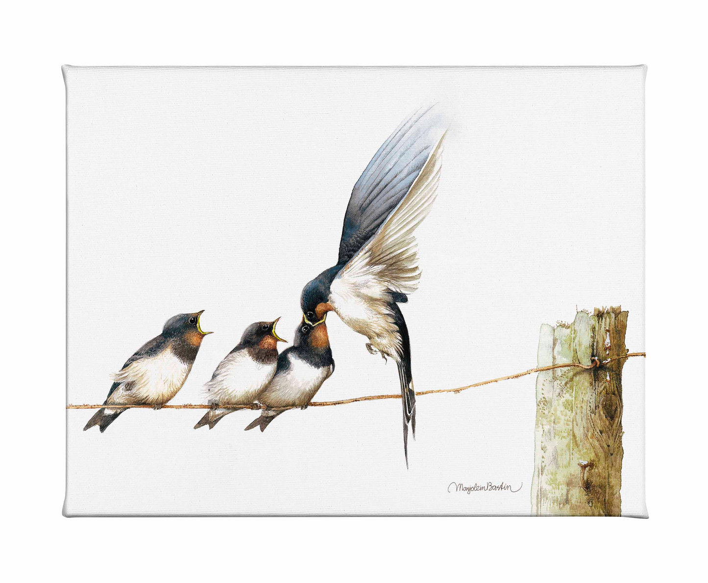 Lining Up - Gallery Wrapped Canvas