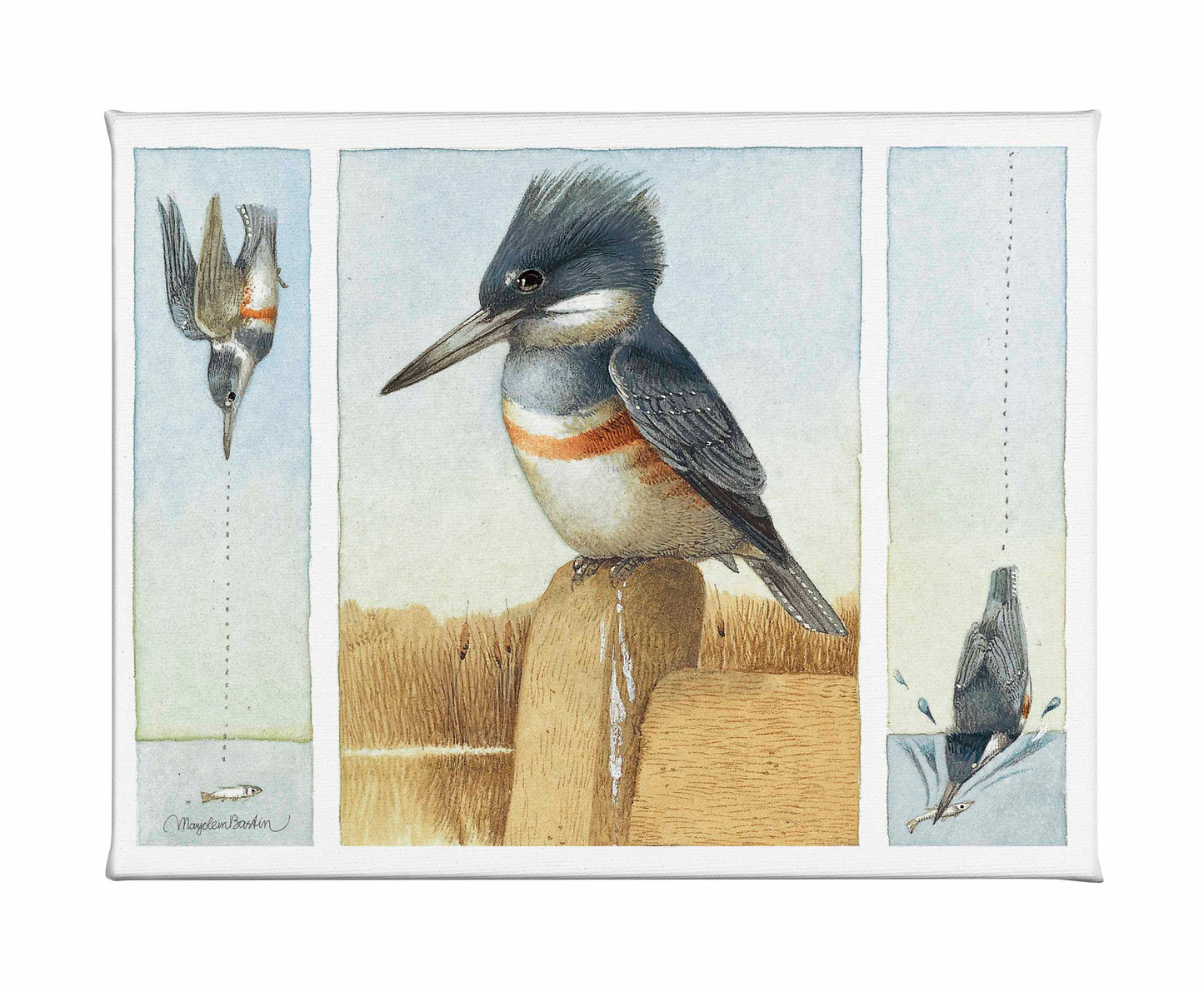 Resting Between Pursuit - Gallery Wrapped Canvas