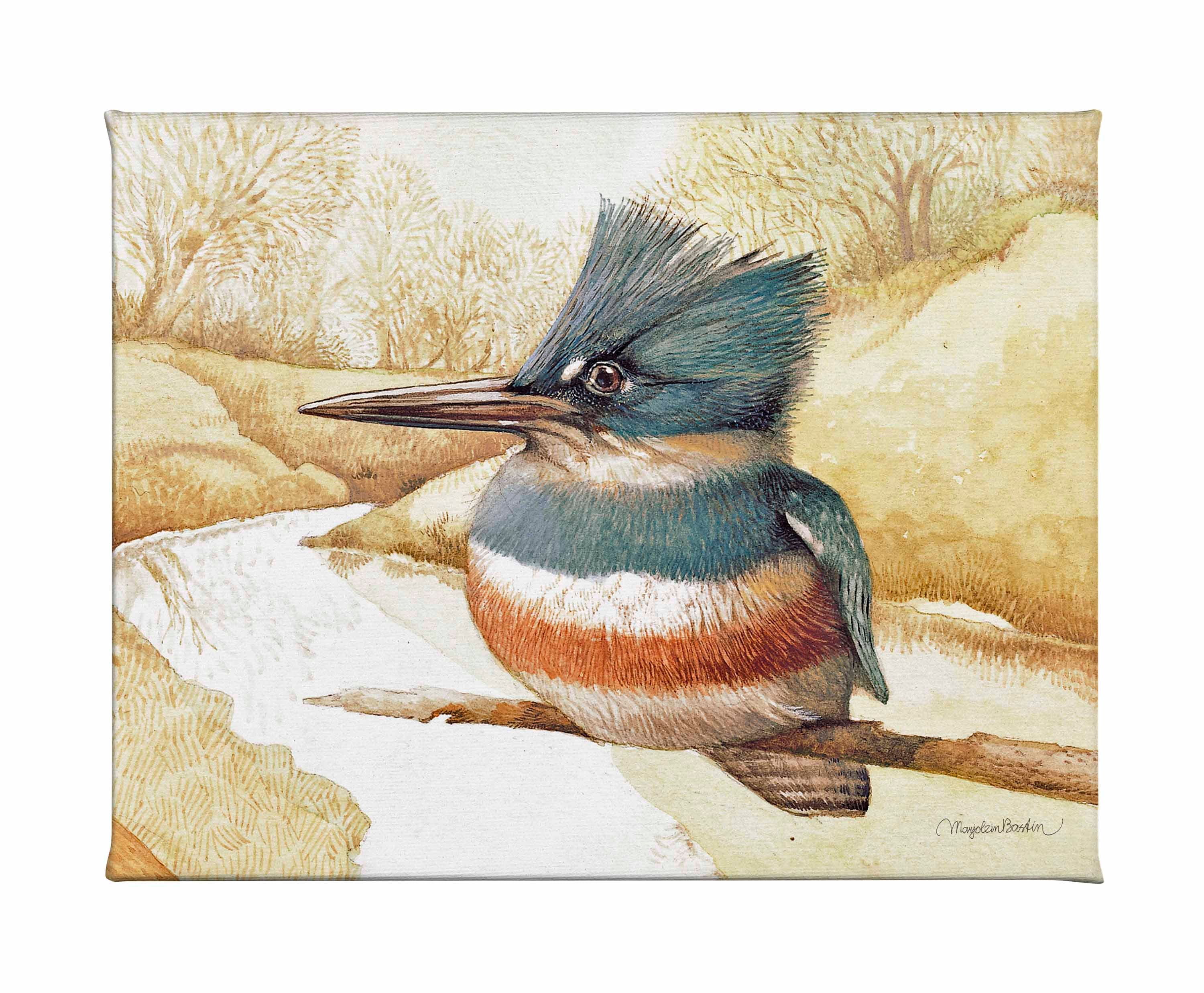 Shop Kingfisher From Wild Wings