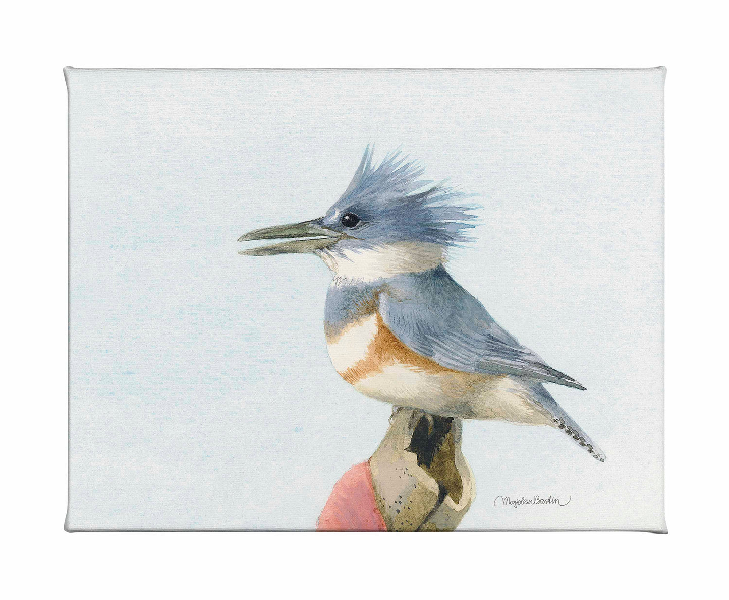 Belted Kingfisher - Gallery Wrapped Canvas
