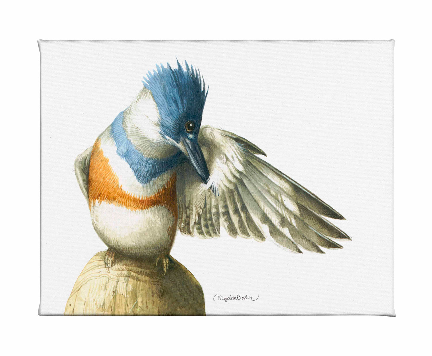 Washing Up - Gallery Wrapped Canvas