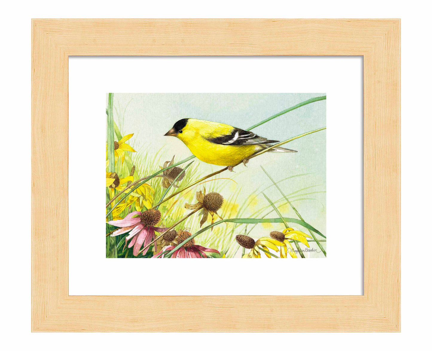 Breathtaking Prairie - Art Prints